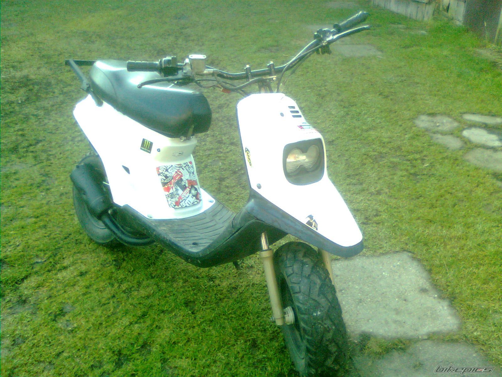 Photo 2628075