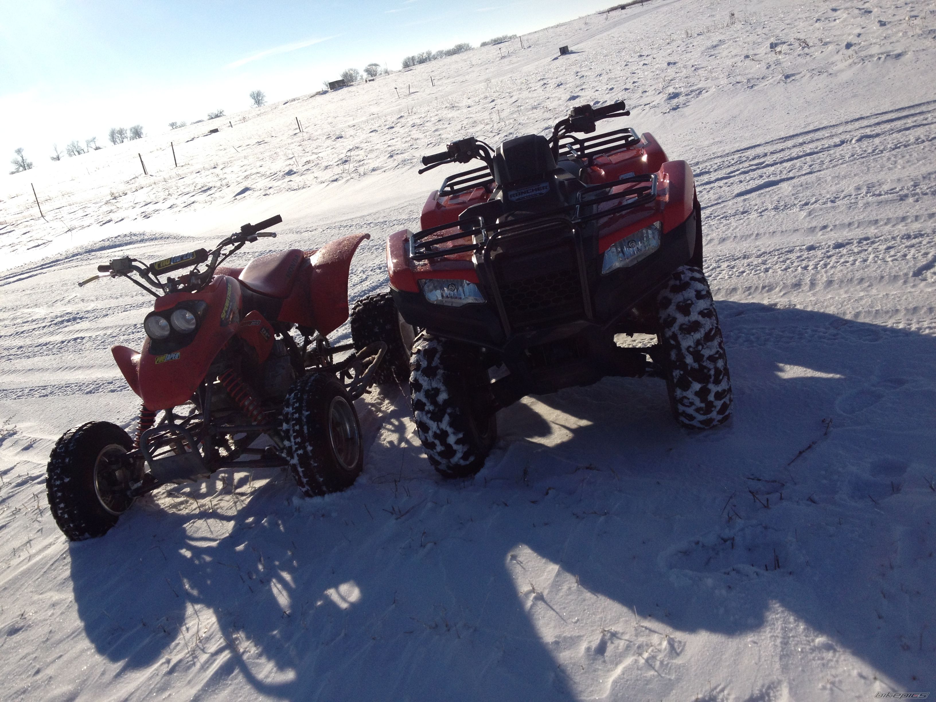 Photo 2628085