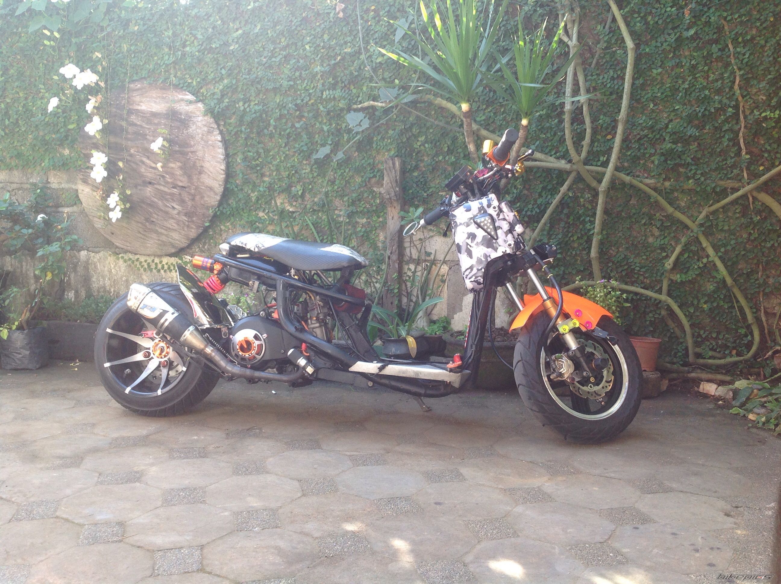 Photo 2628190