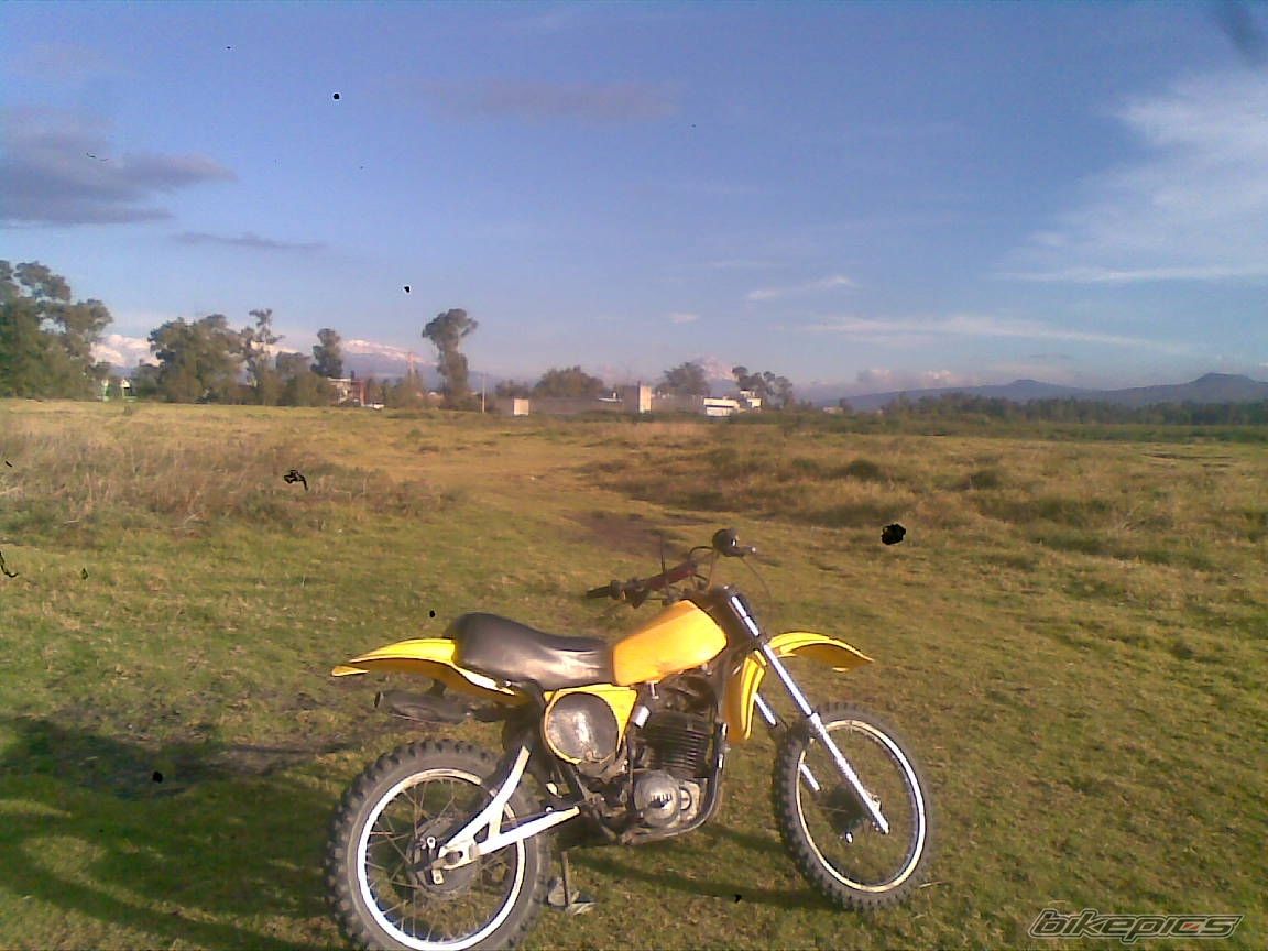 Photo 2628205