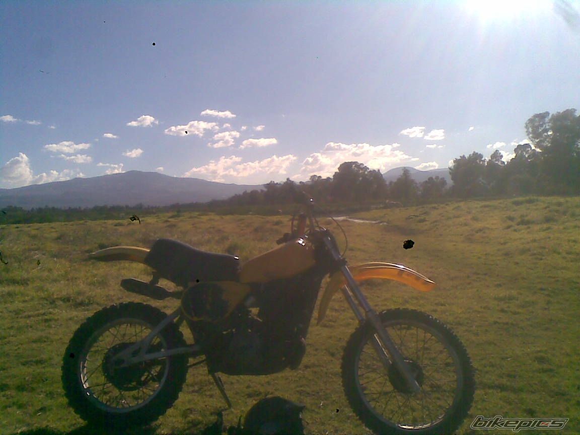 Photo 2628206