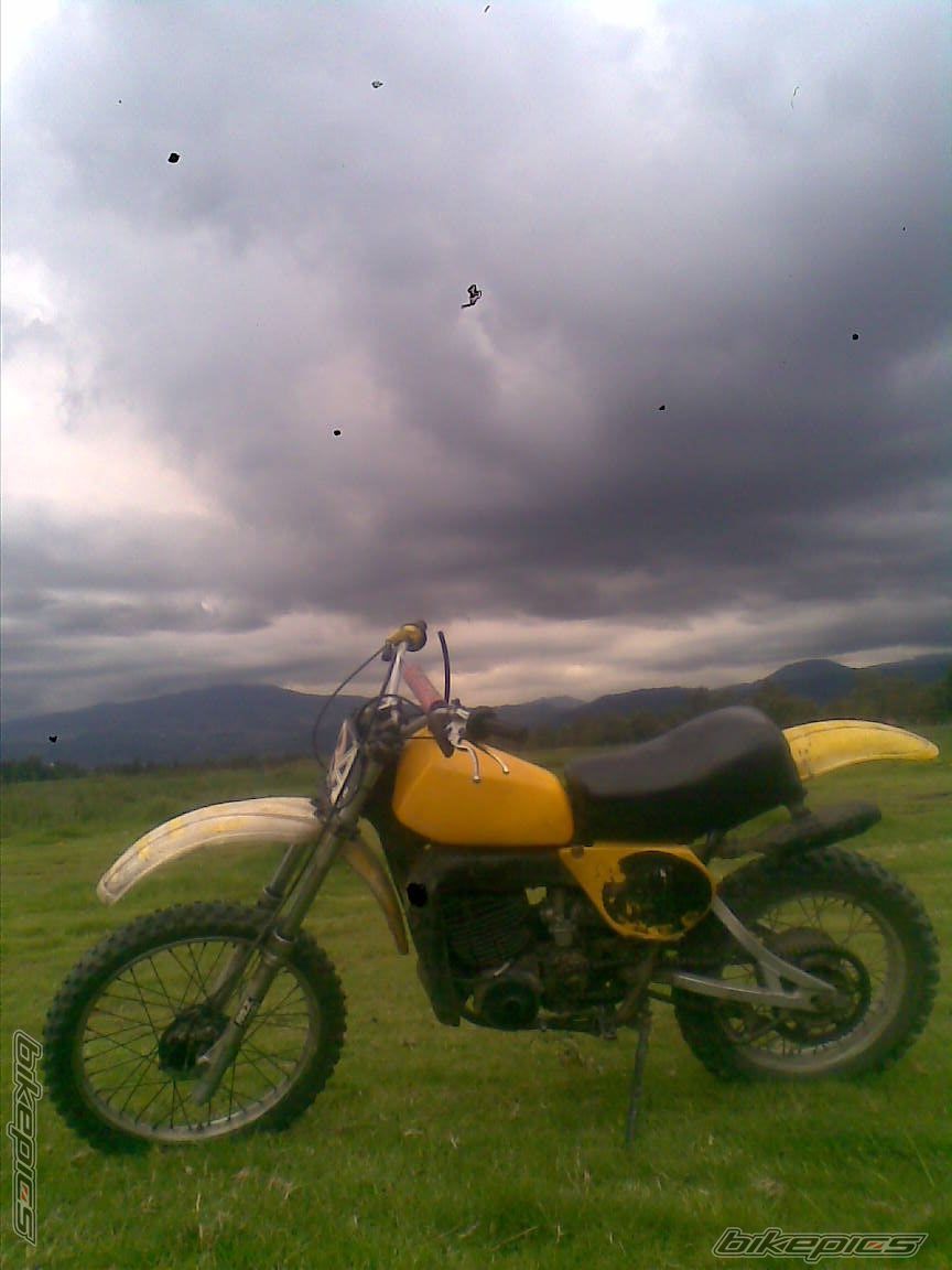 Photo 2628208
