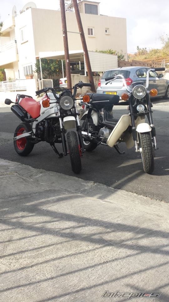 Photo 2628344