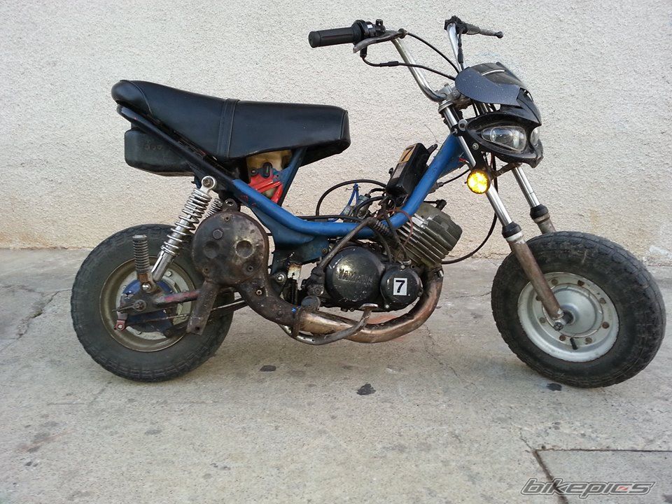 Photo 2628346