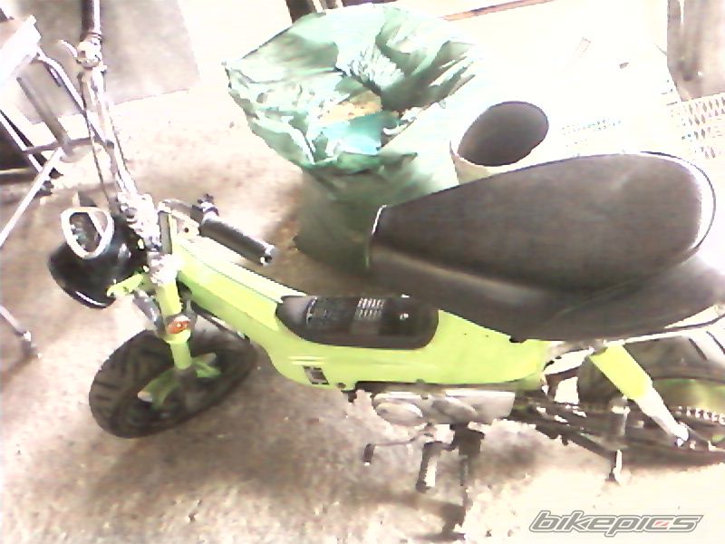 Photo 2628347