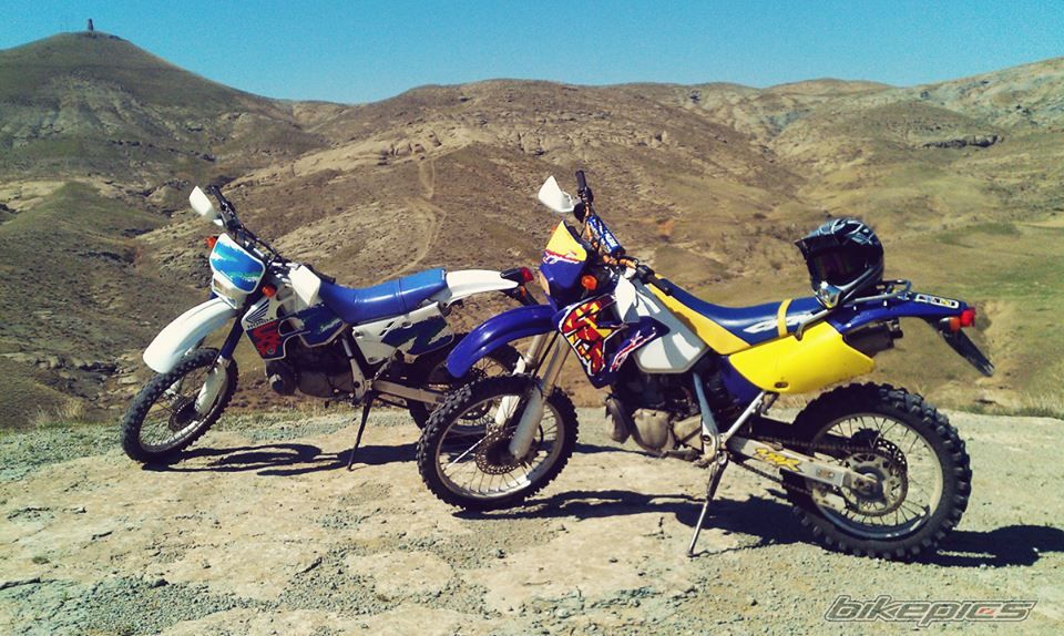 Photo 2628482