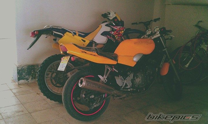 Photo 2628489