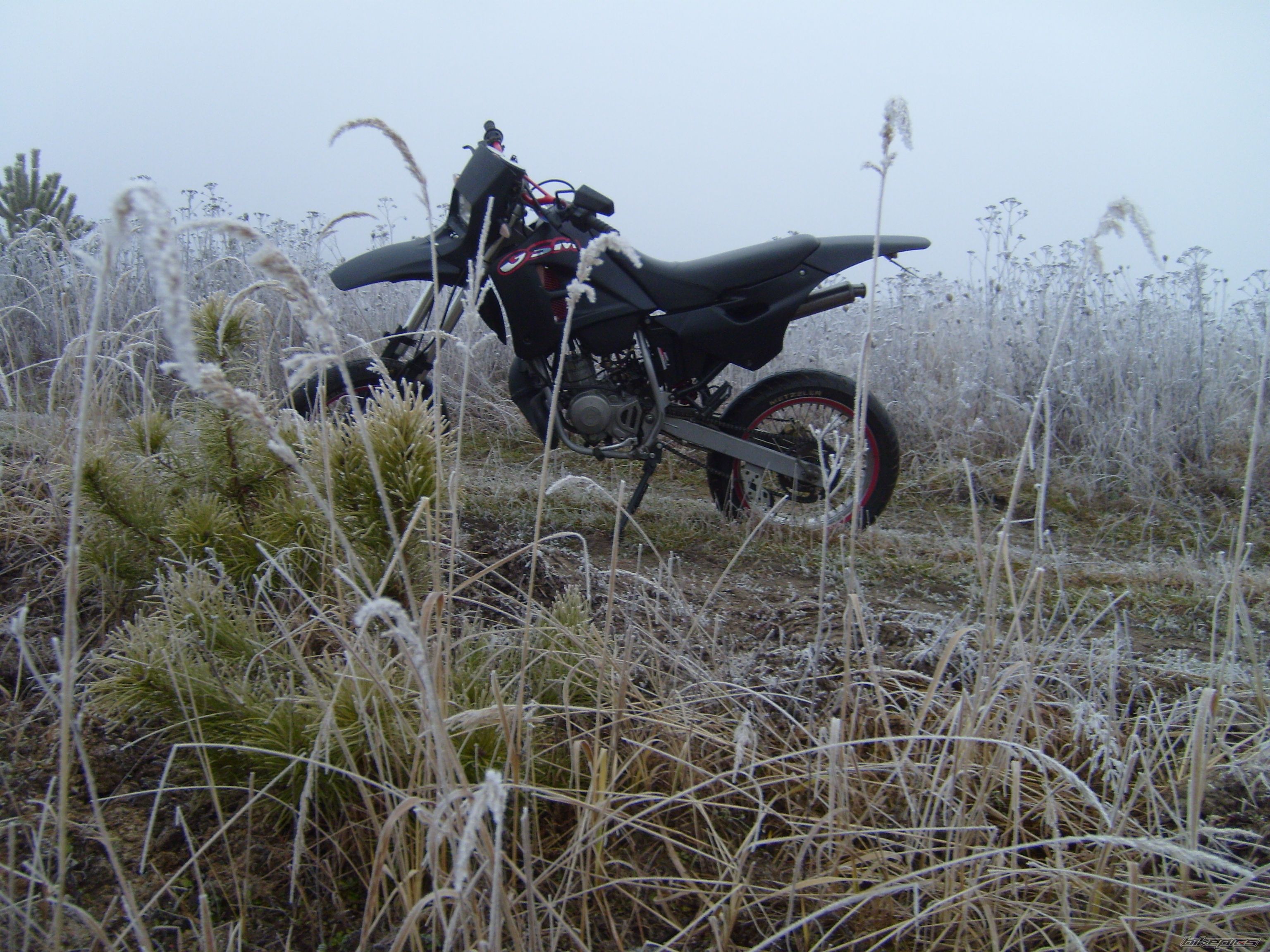 Photo 2628552