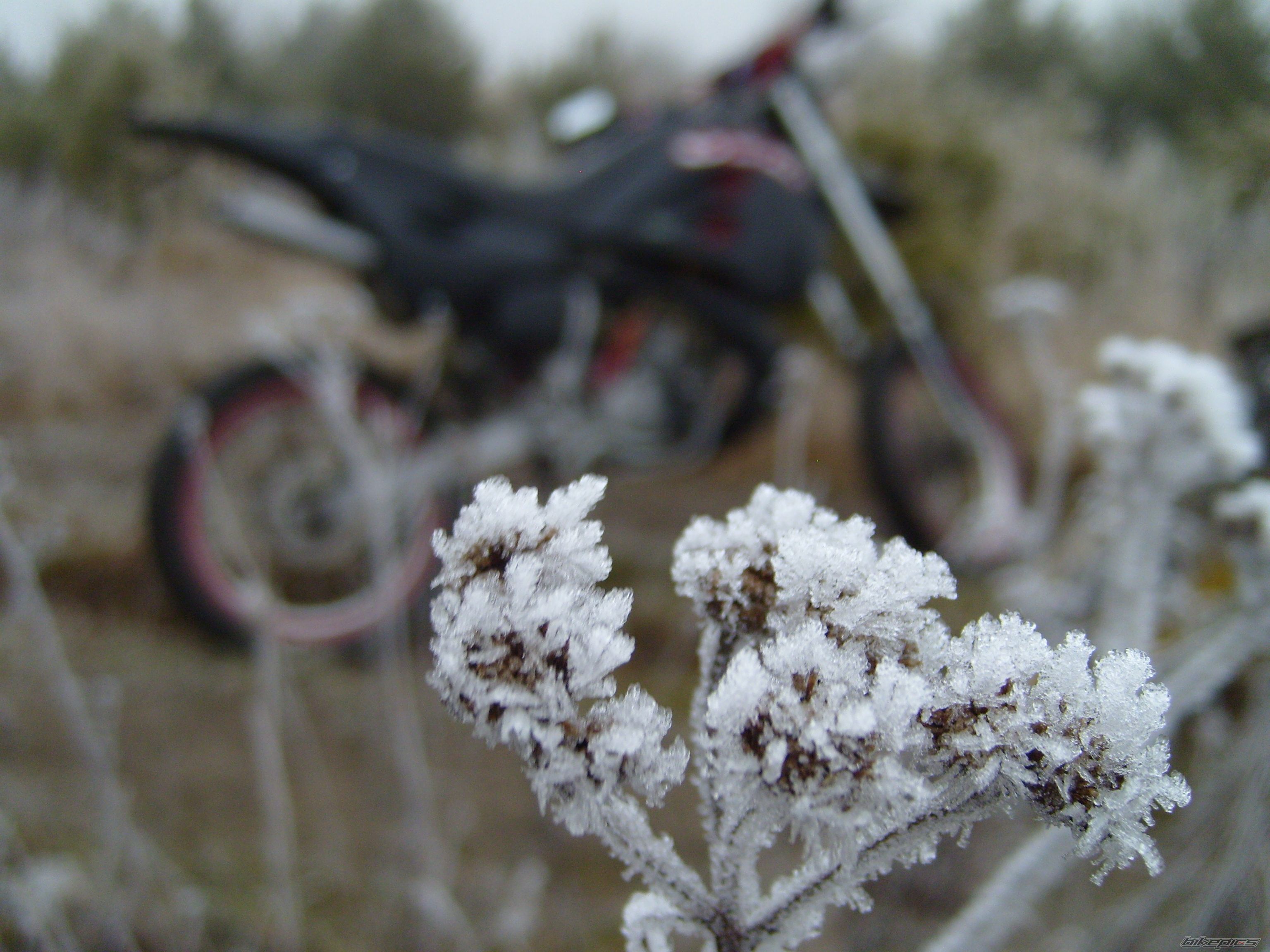 Photo 2628556