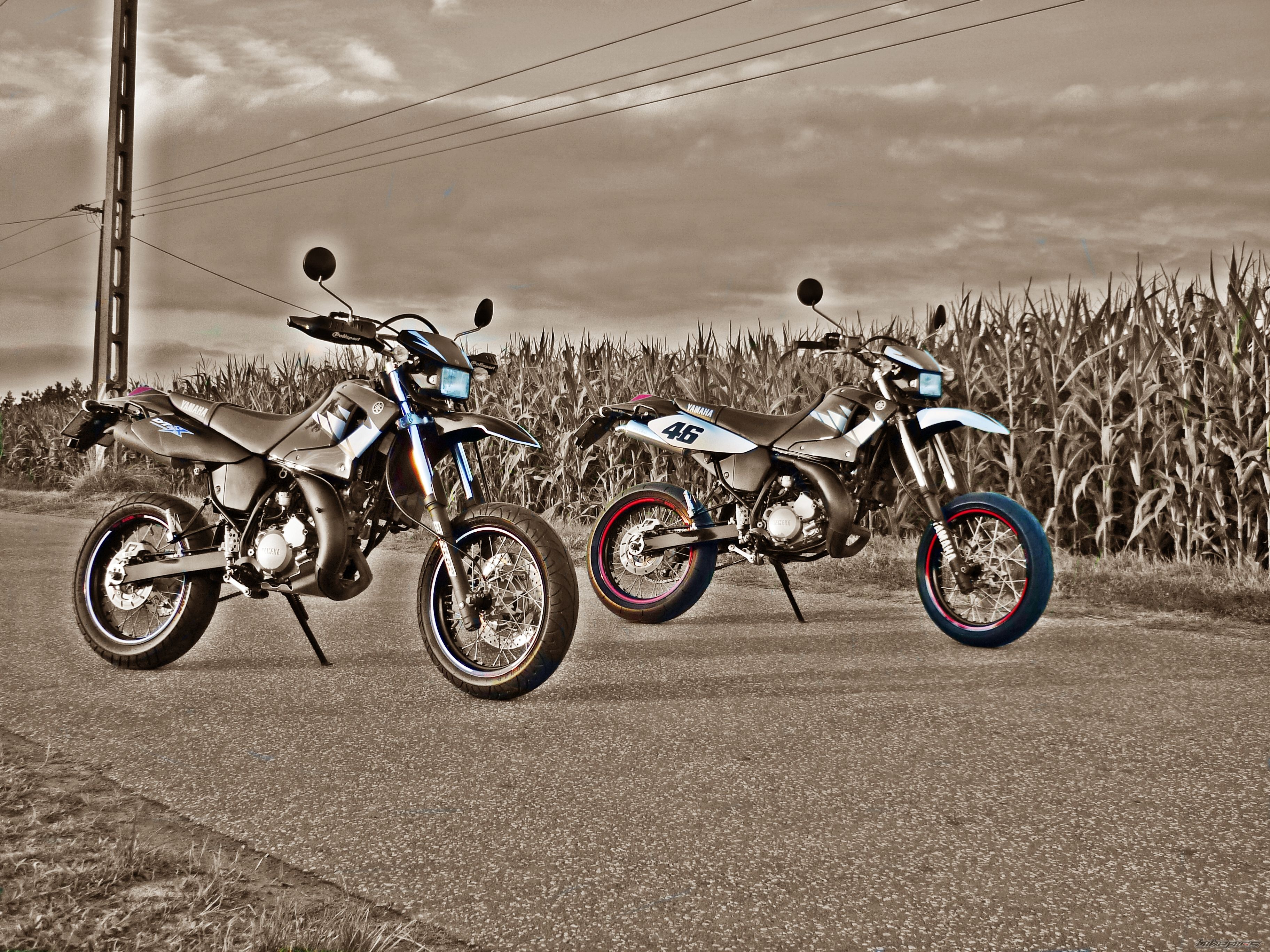 Photo 2628741