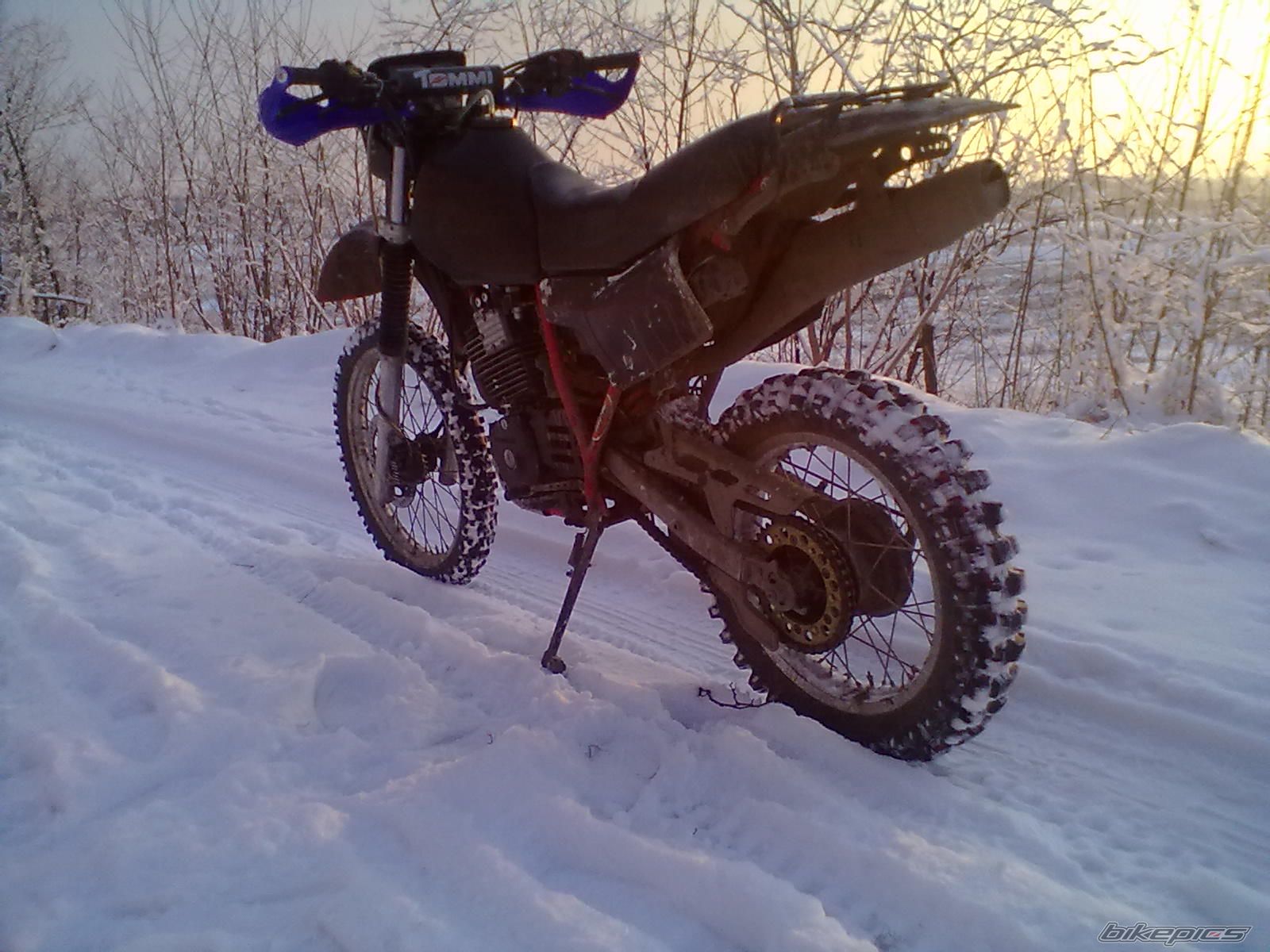Photo 2628755