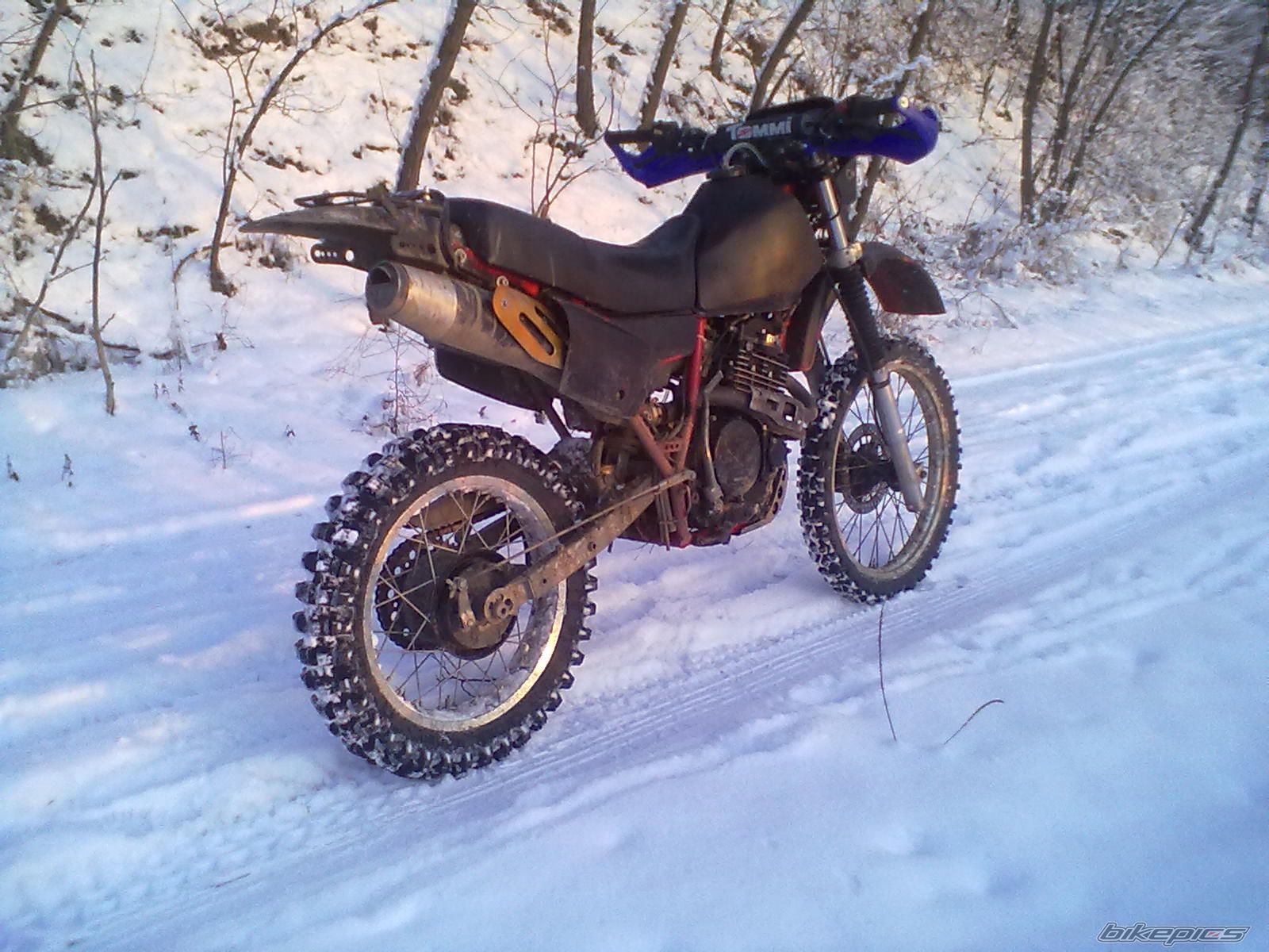 Photo 2628756