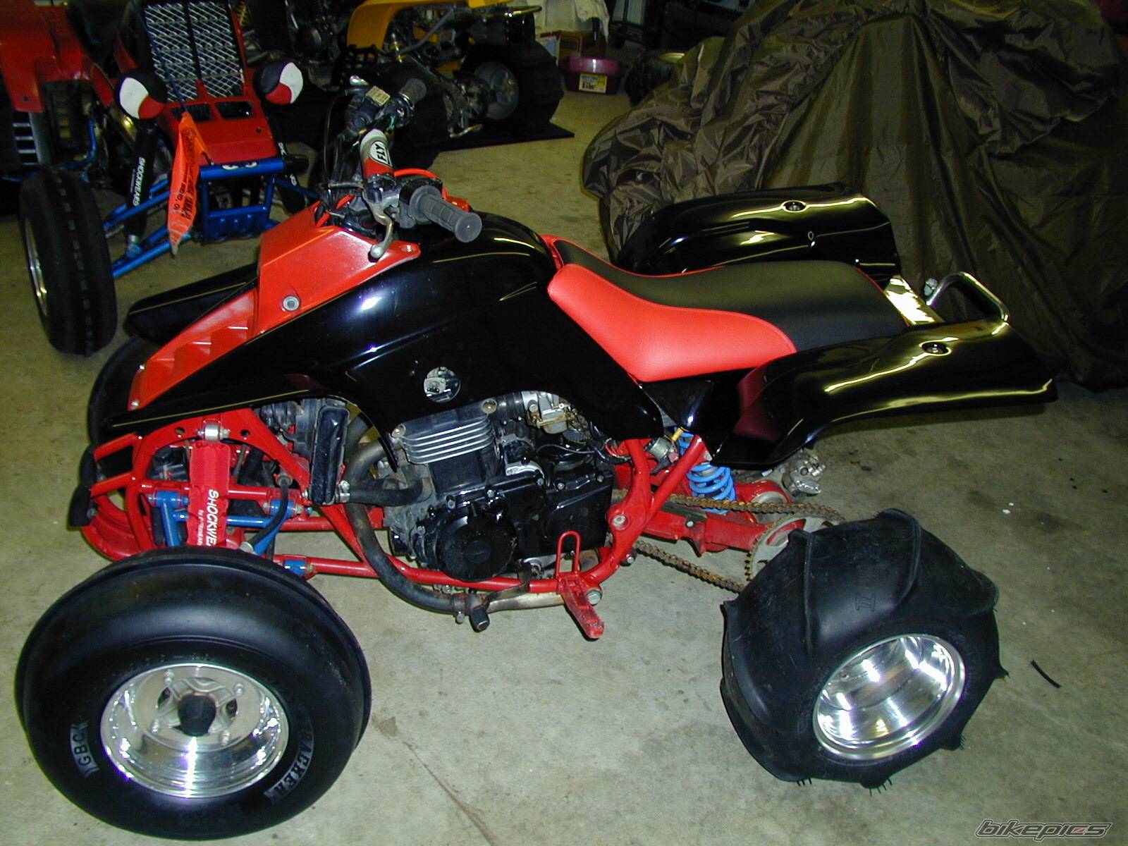 Photo 262882