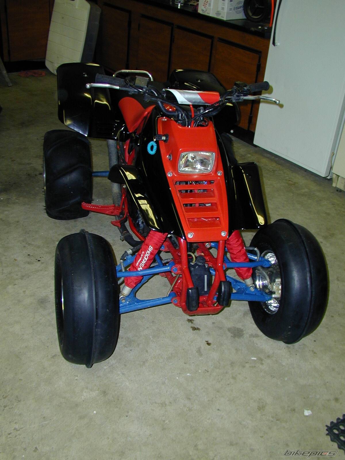 Photo 262883