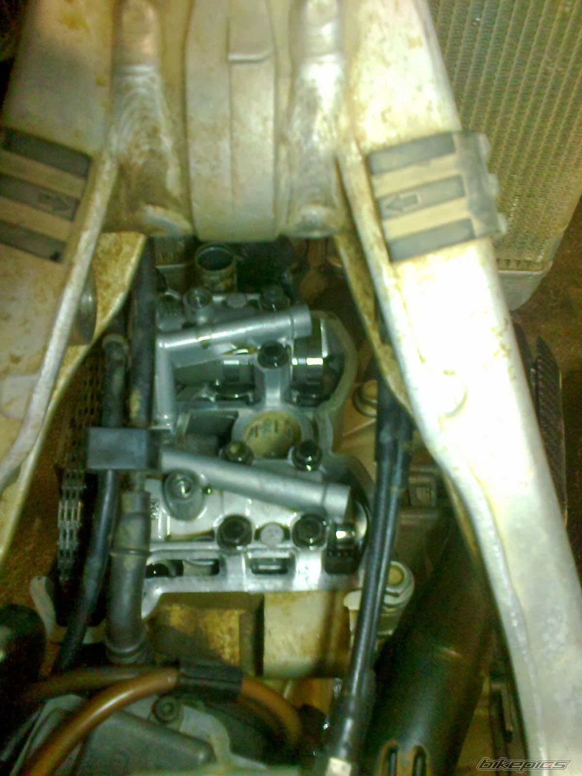 Photo 2628840