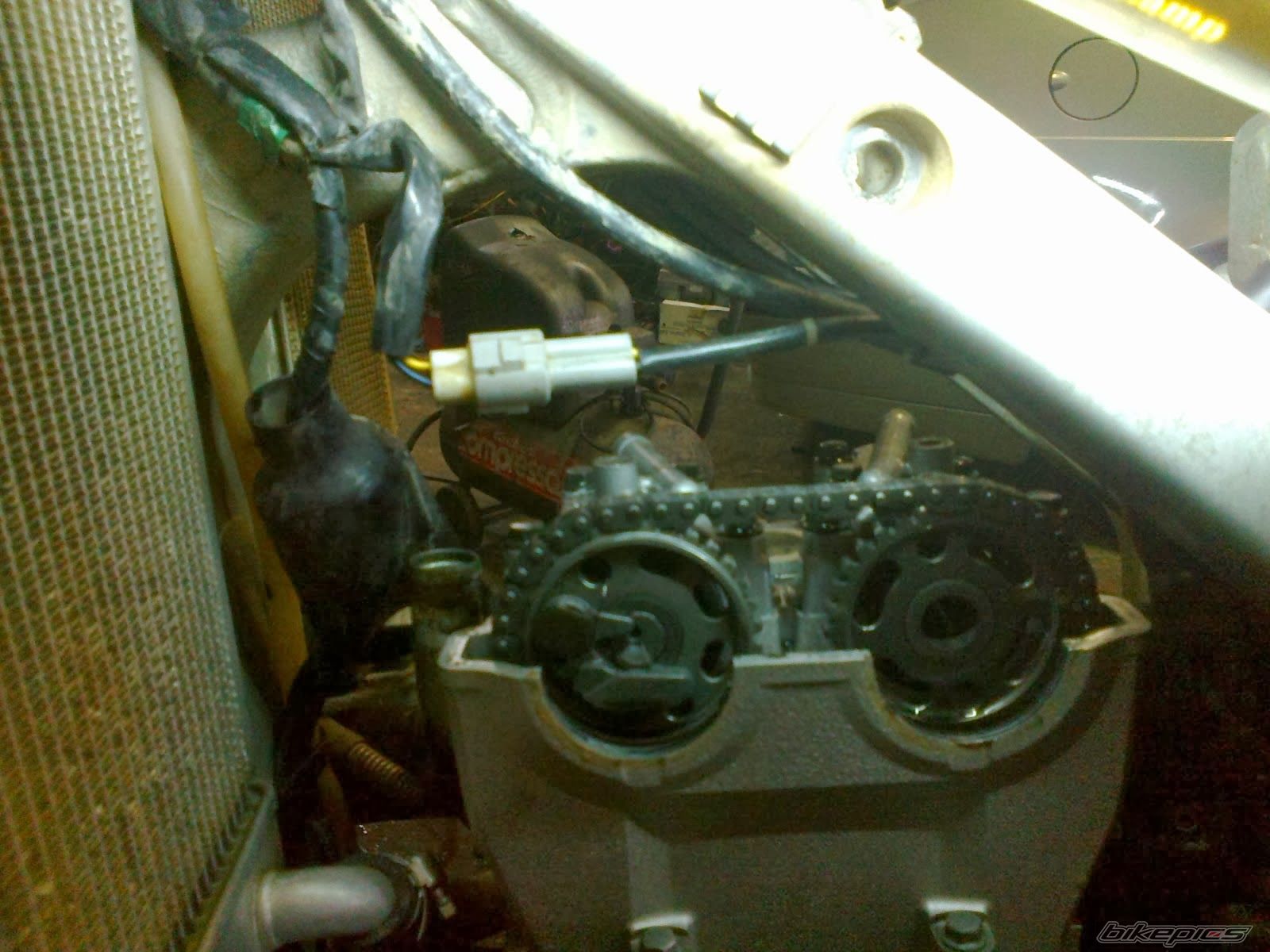 Photo 2628841