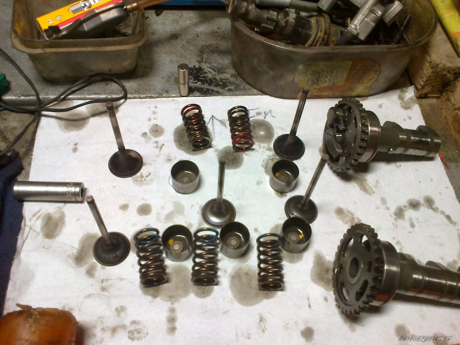 Photo 2628842