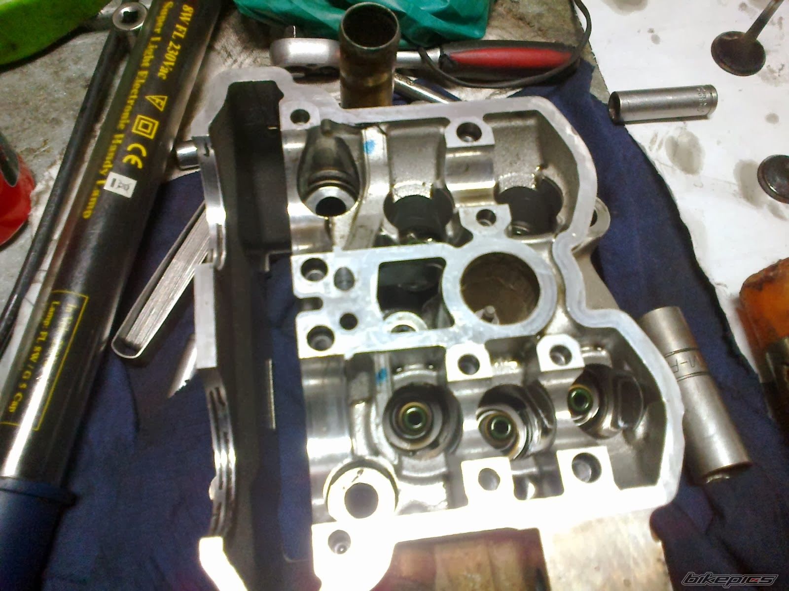 Photo 2628843