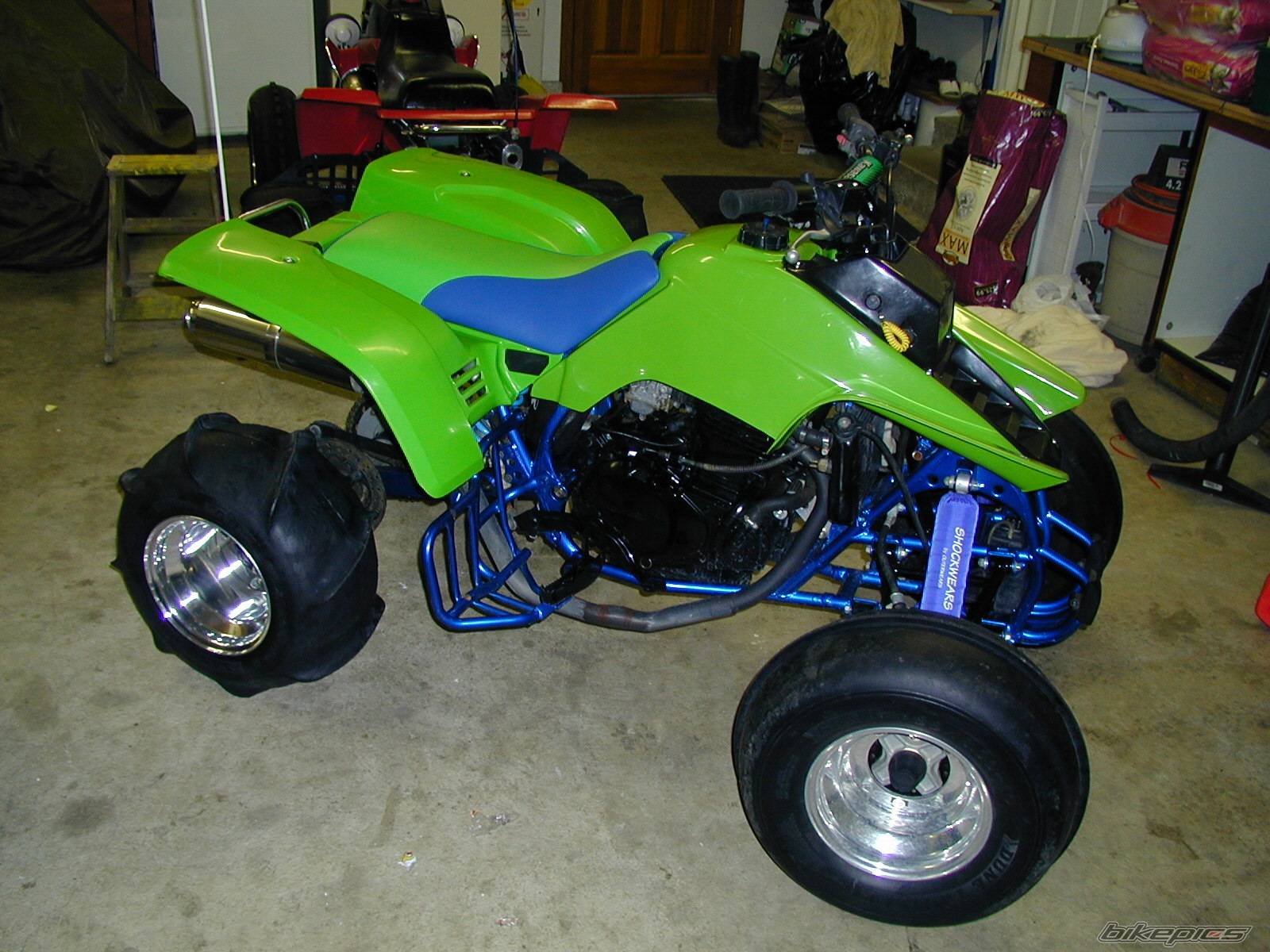 Photo 262885