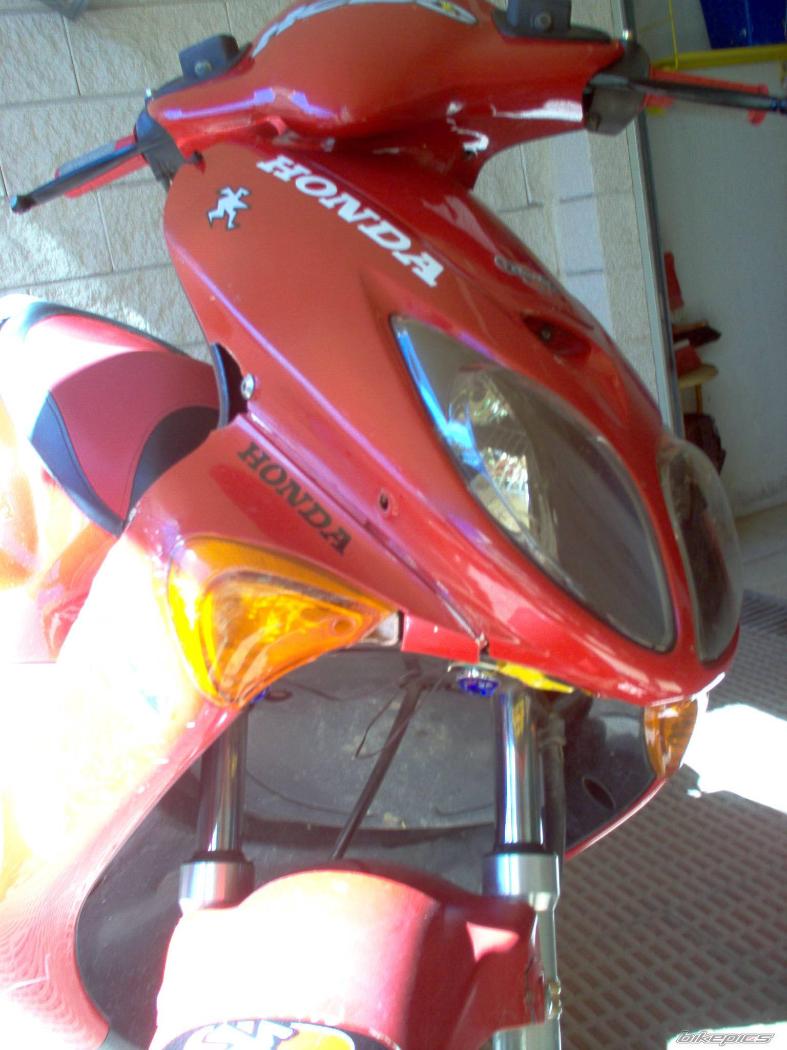 Photo 262888
