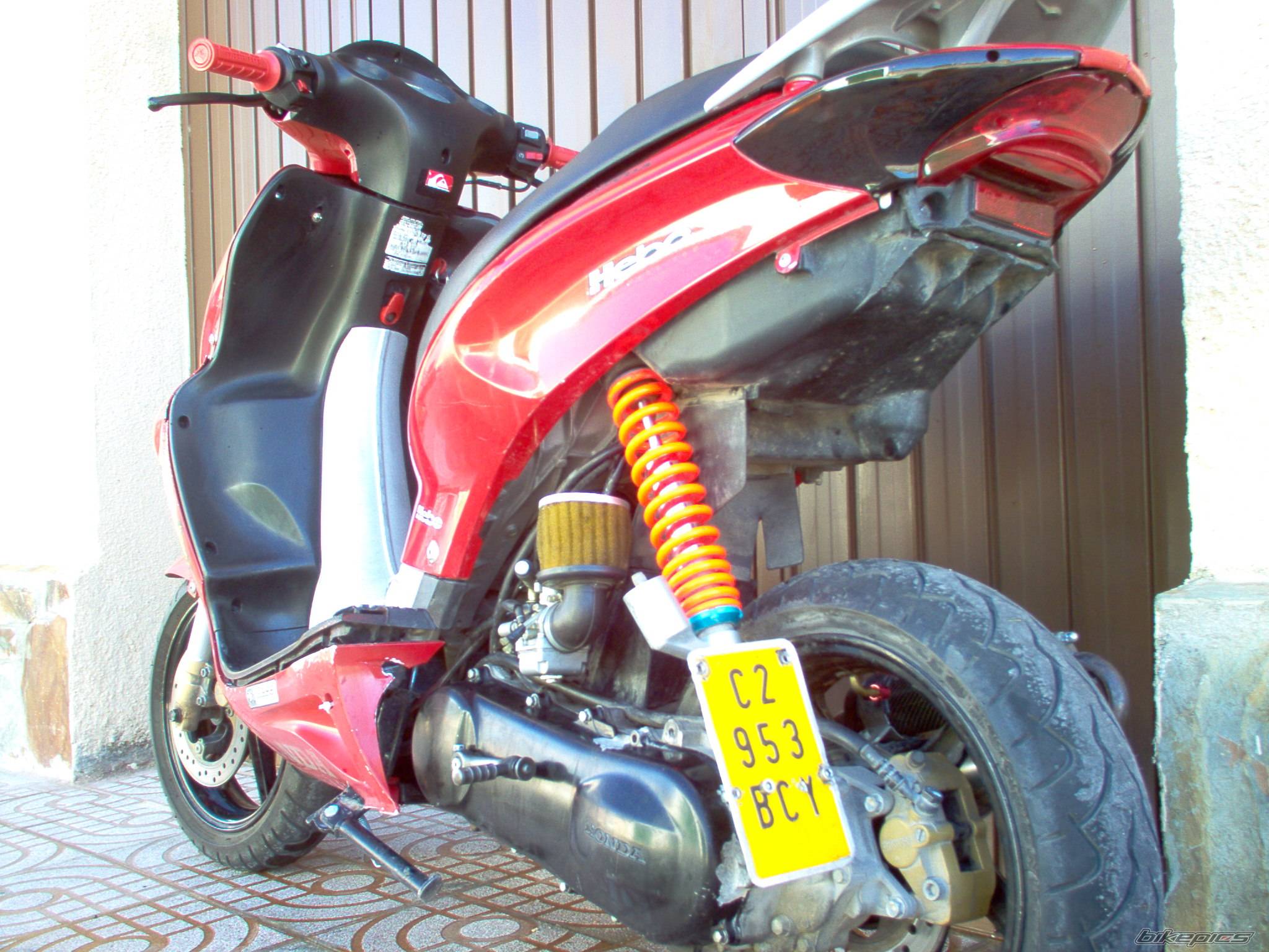Photo 262890