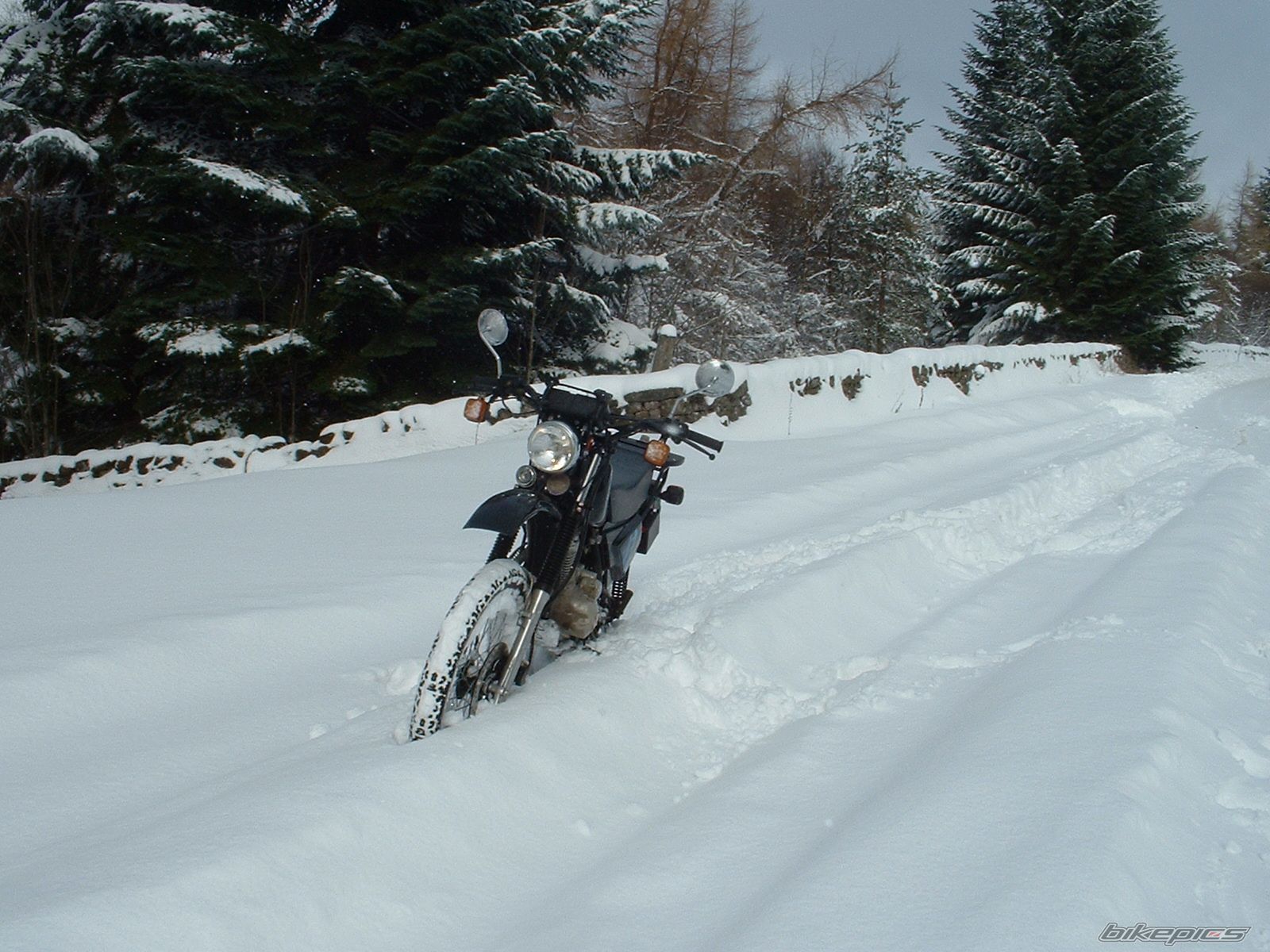 Hd125gy