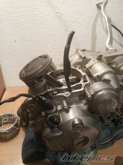 Photo 2628939