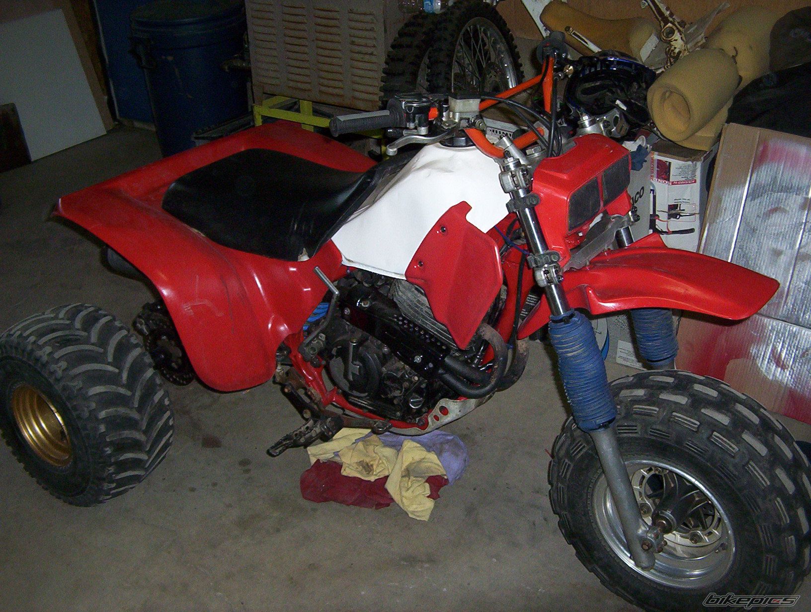 Photo 2629037