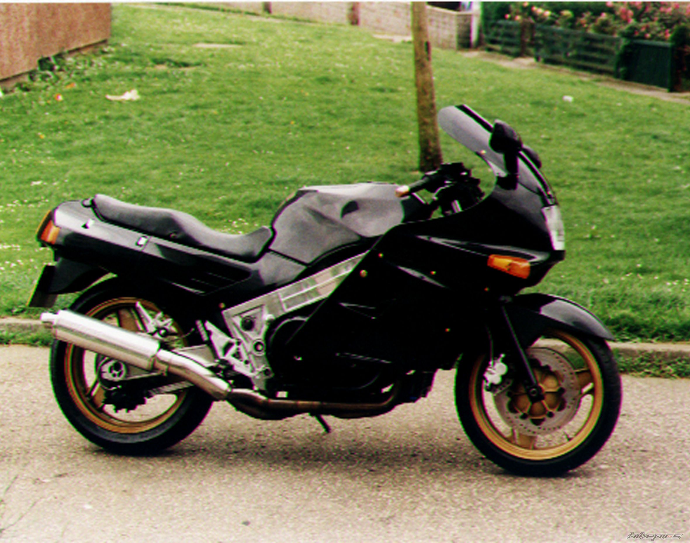 Photo 2629063
