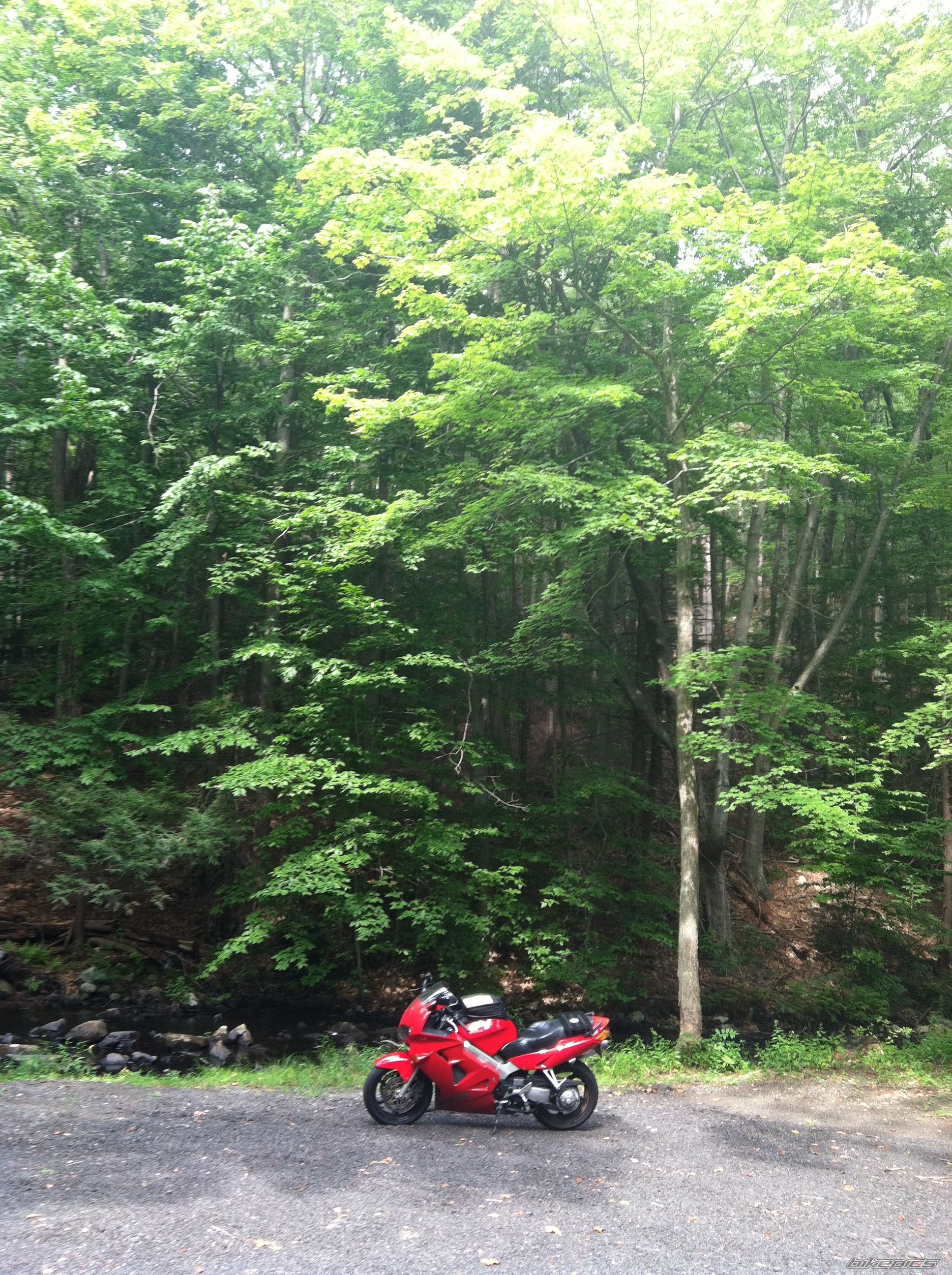 Photo 2629112