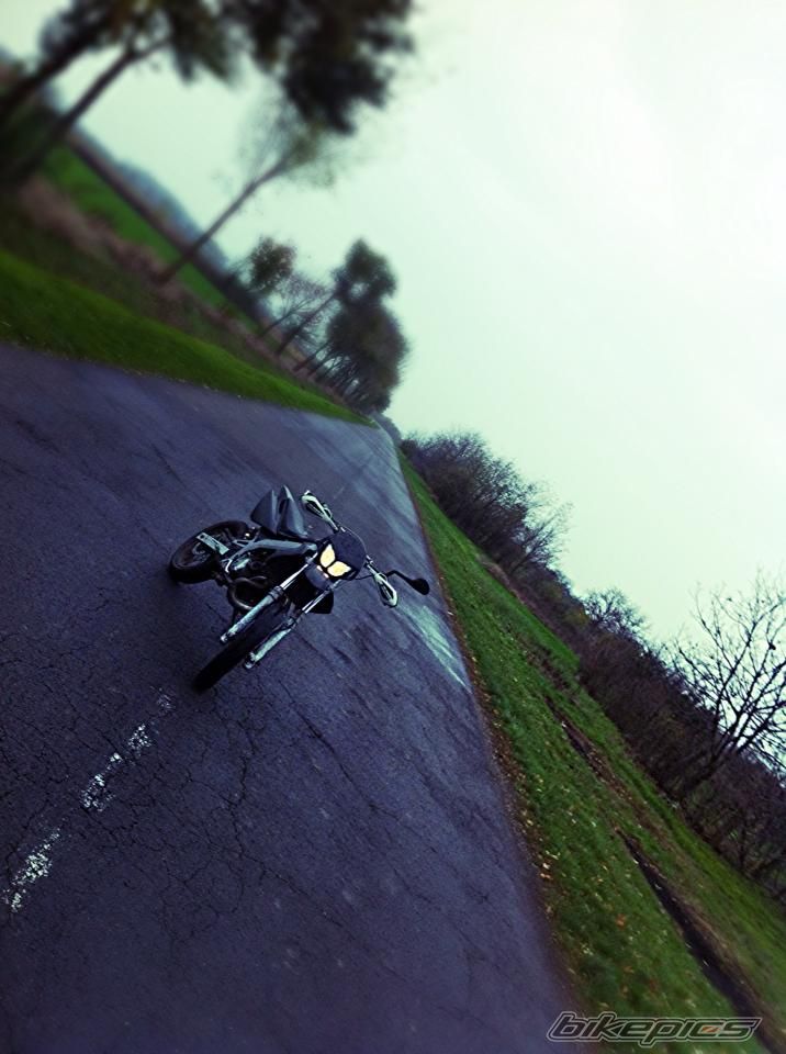Photo 2629138