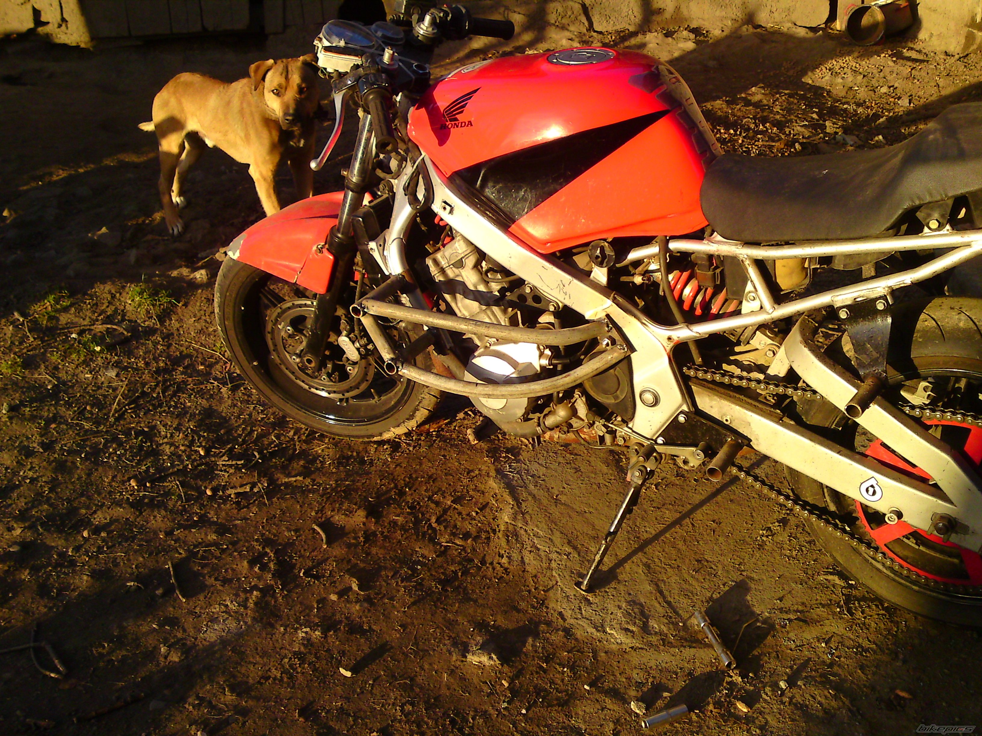 Bike Photo 2629218