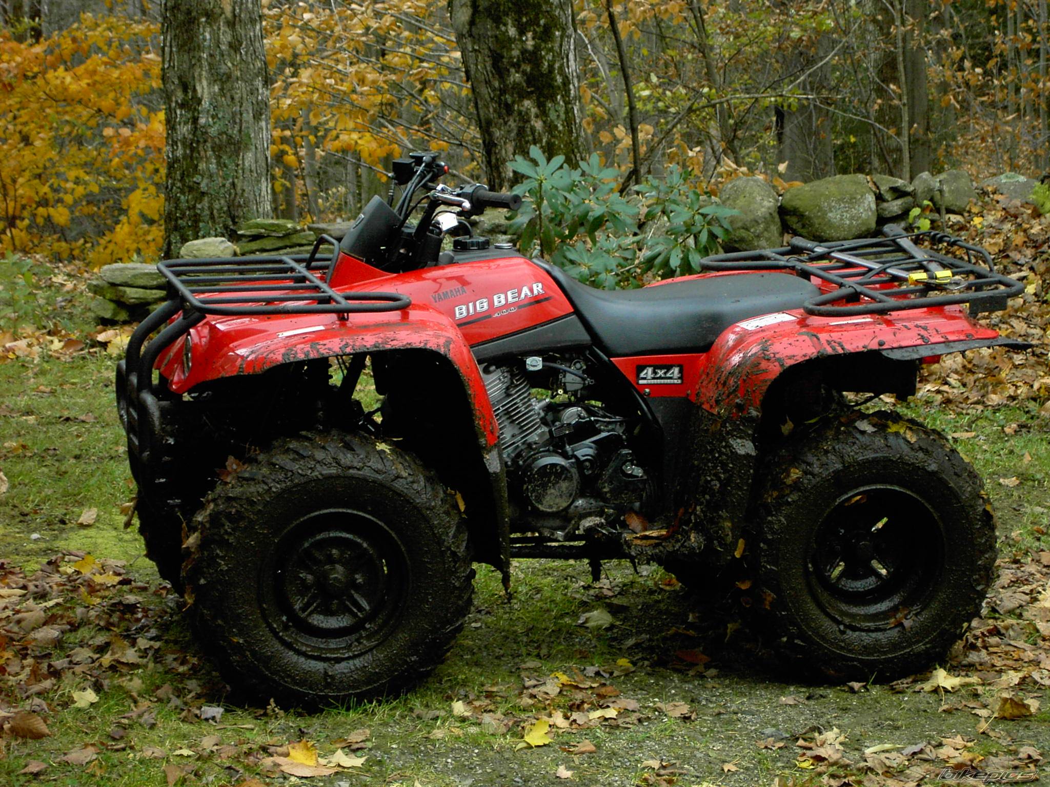 Photo 262940