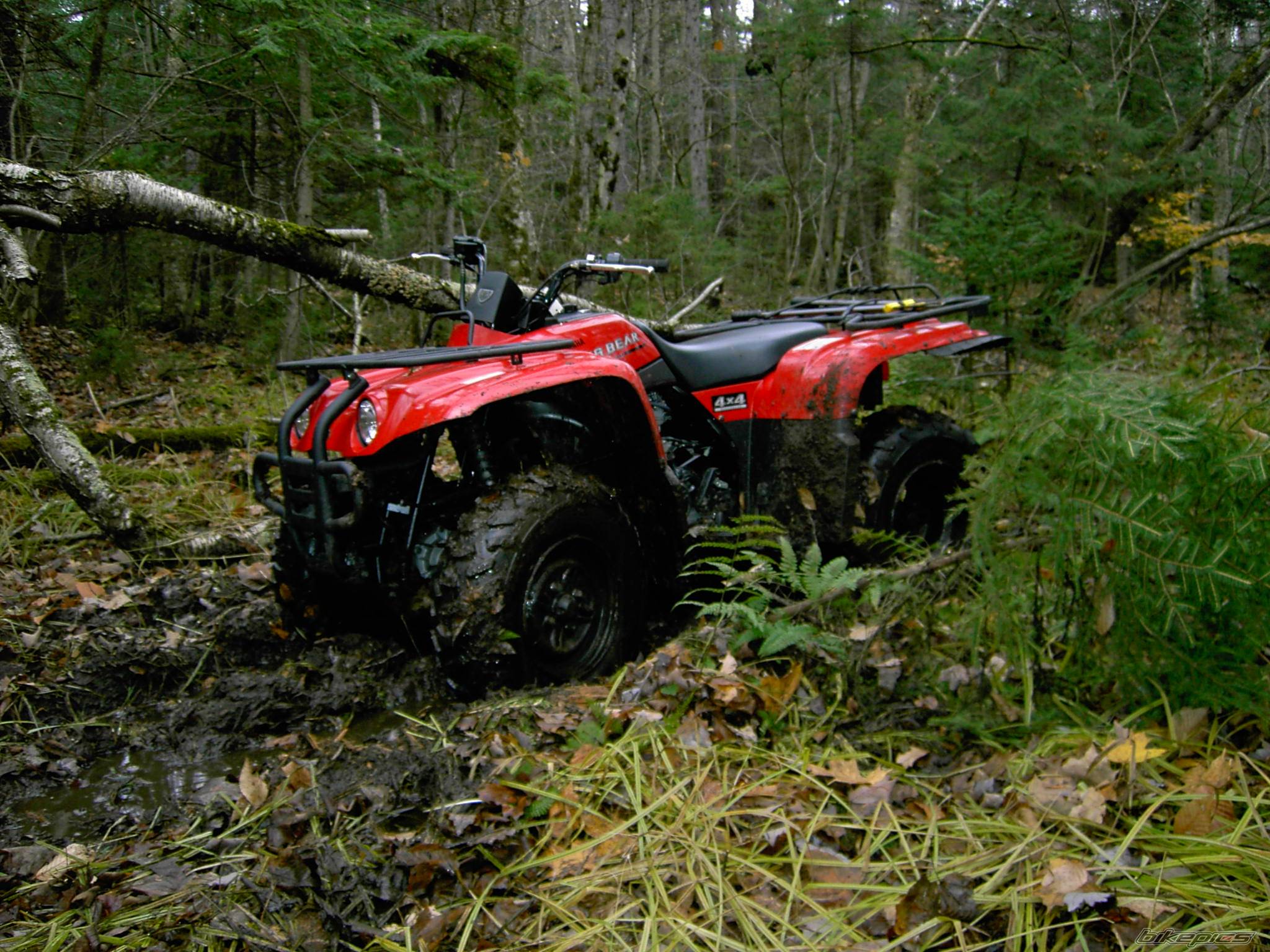 Photo 262942