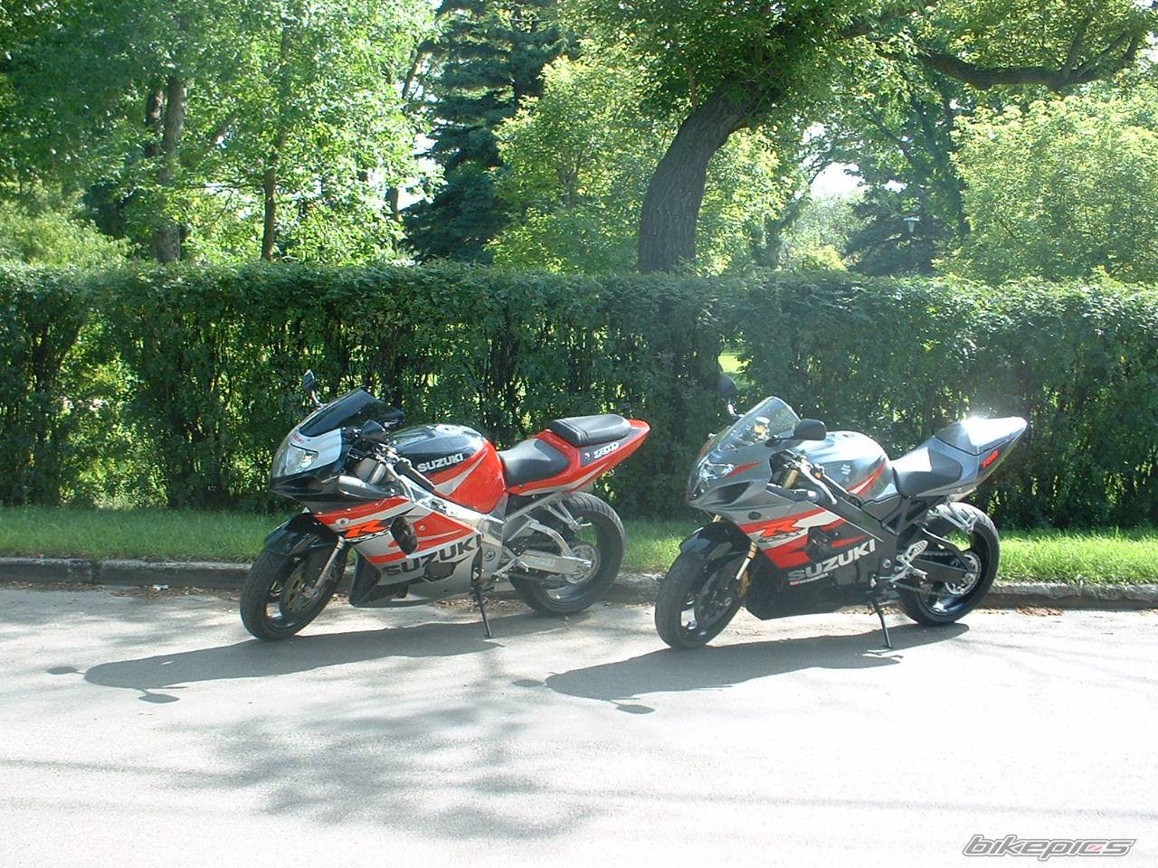 Photo 262949