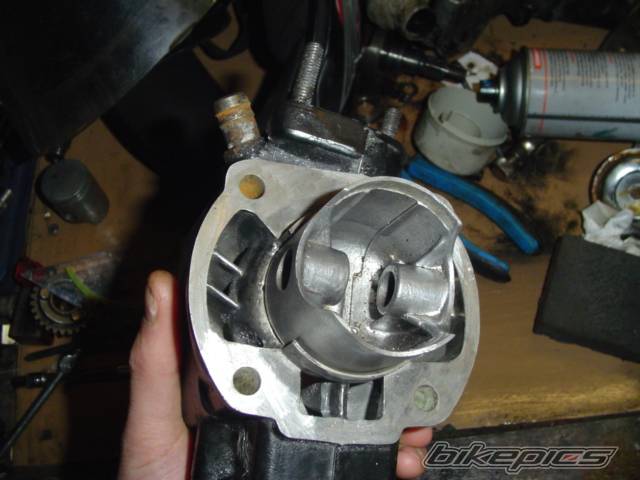 Photo 262951