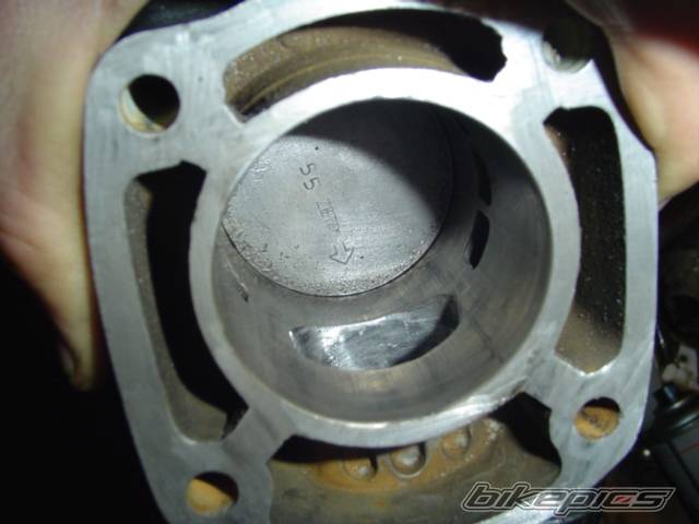 Photo 262952