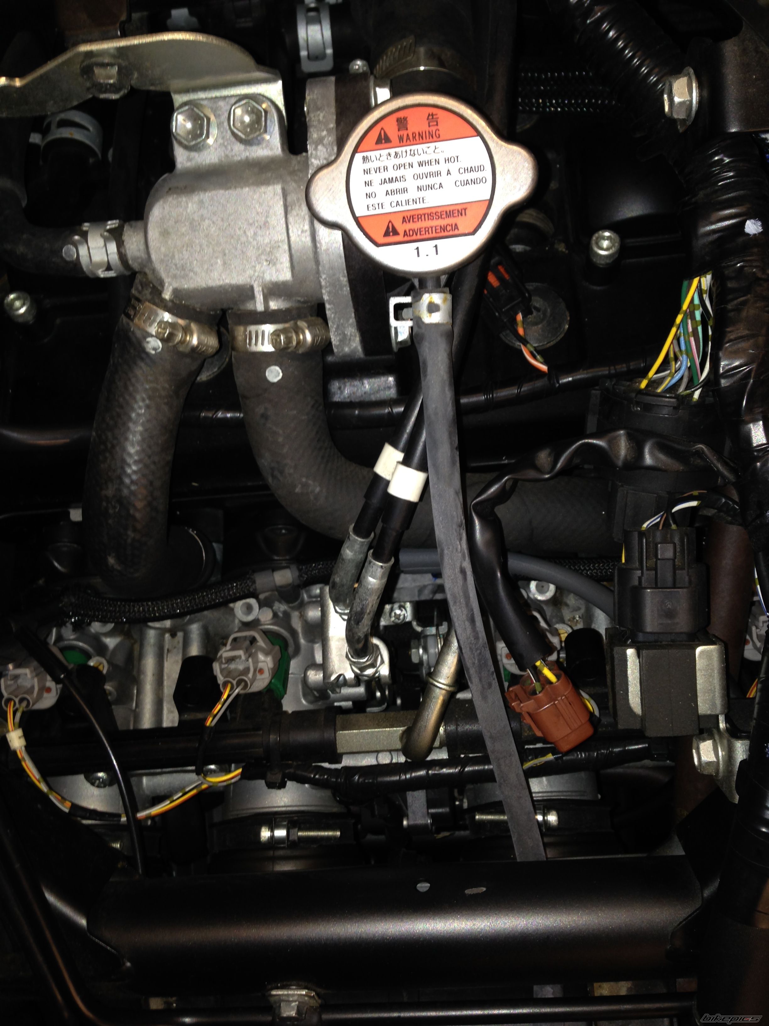 Photo 2629688