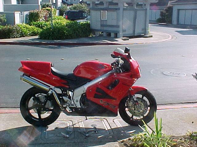 Photo 262969