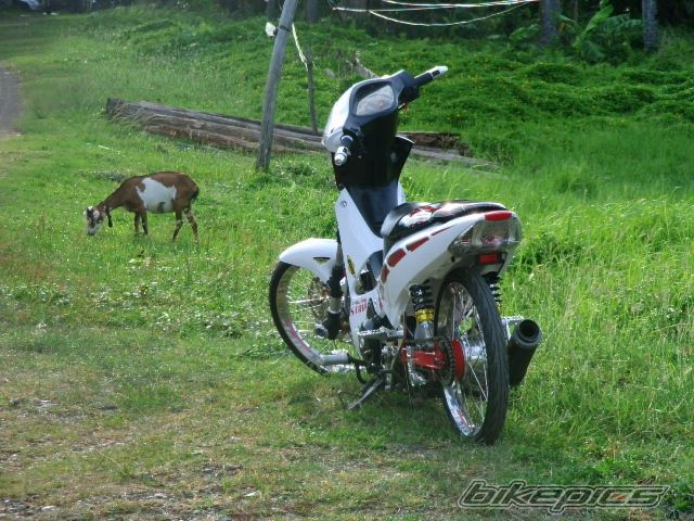 Bike Photo 2629845