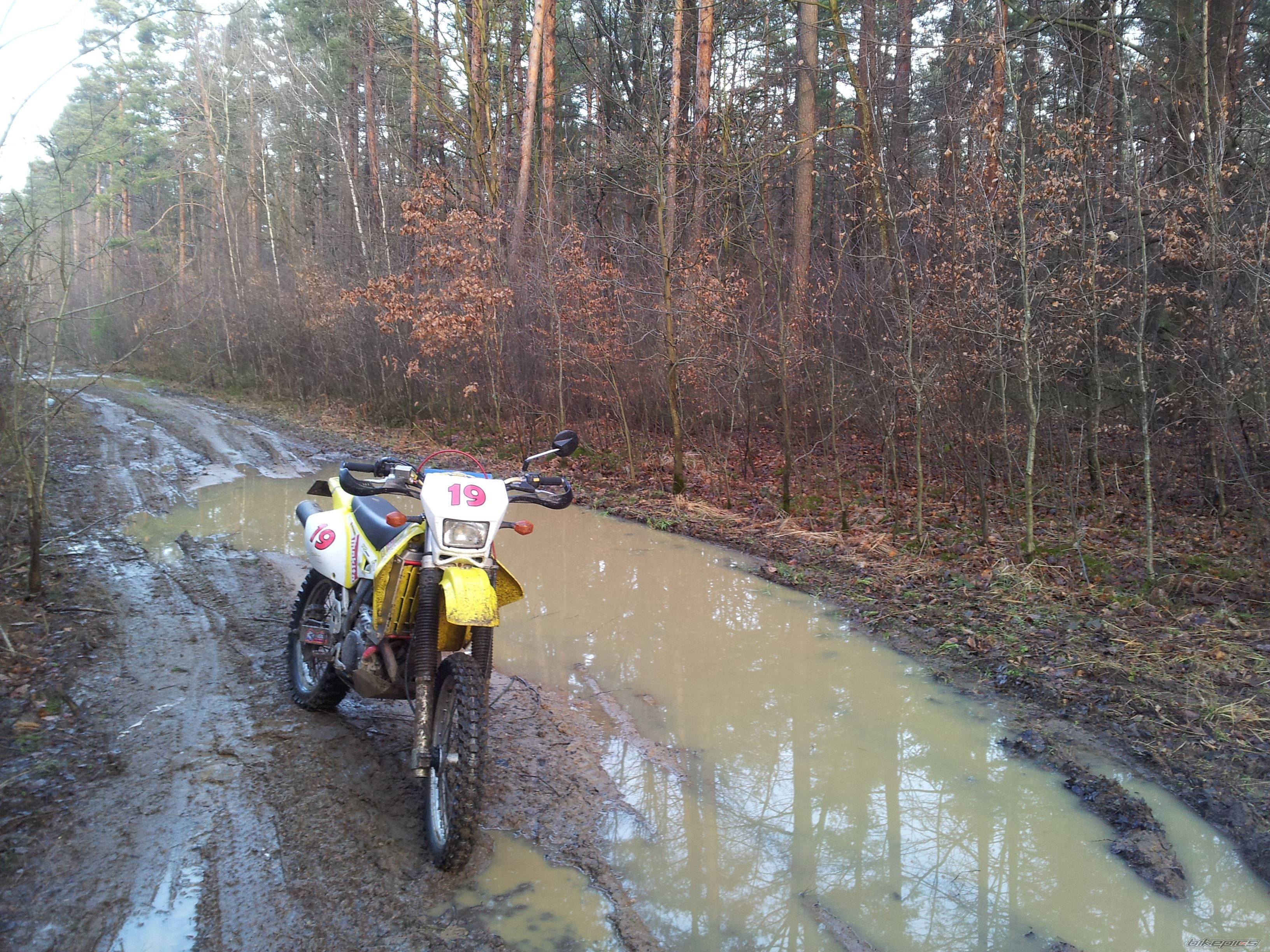 Photo 2629903