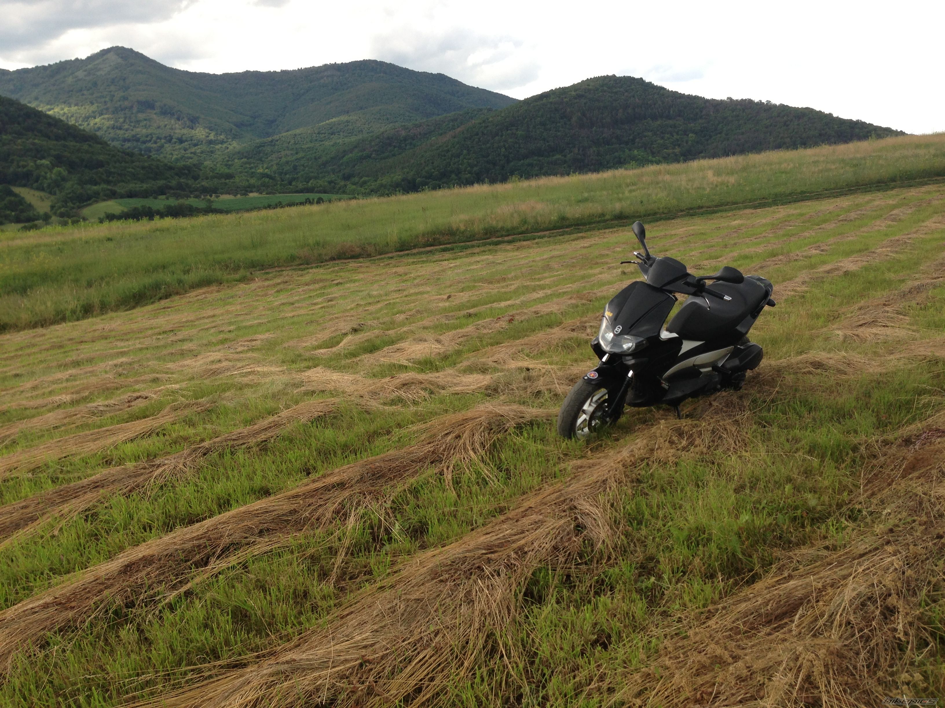 Photo 2629978