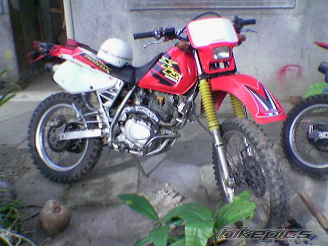Photo 263028