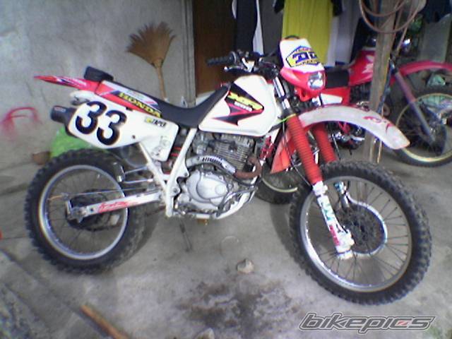 Photo 263030
