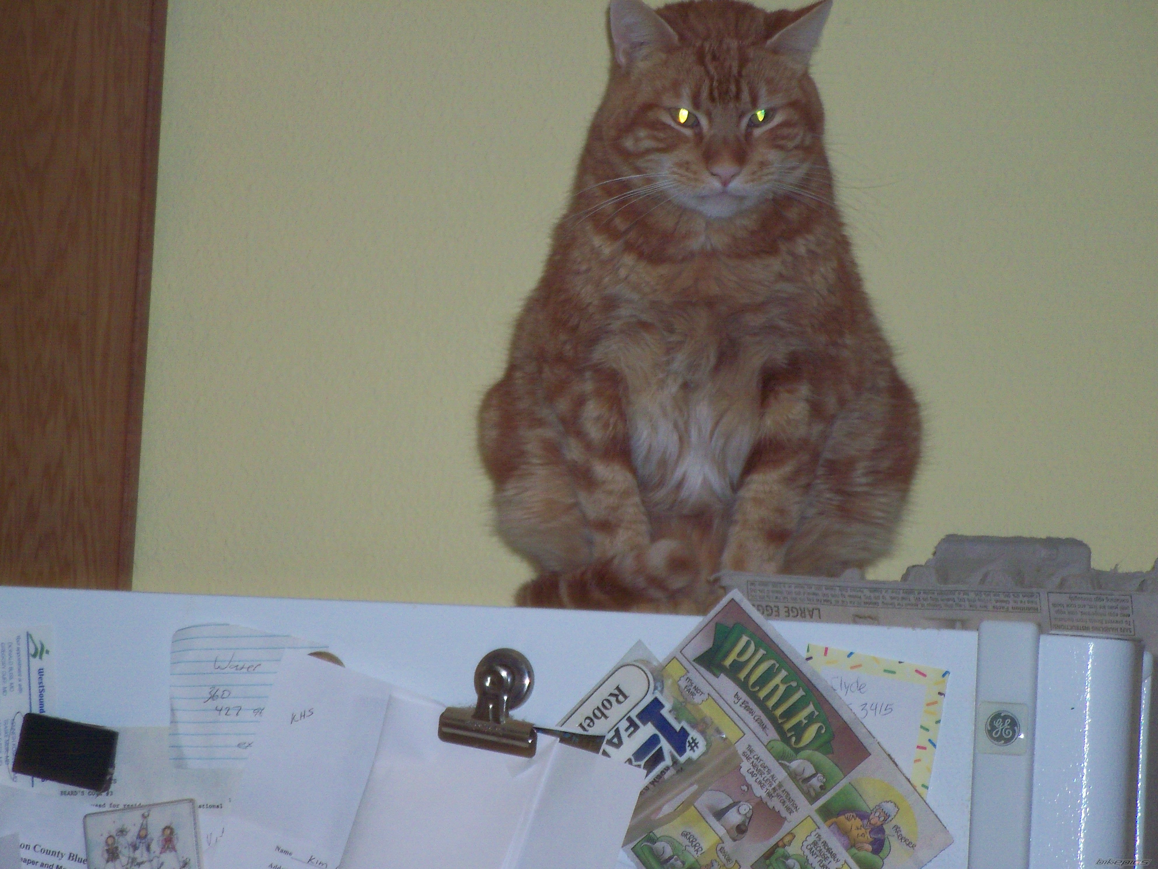 Photo 2630313