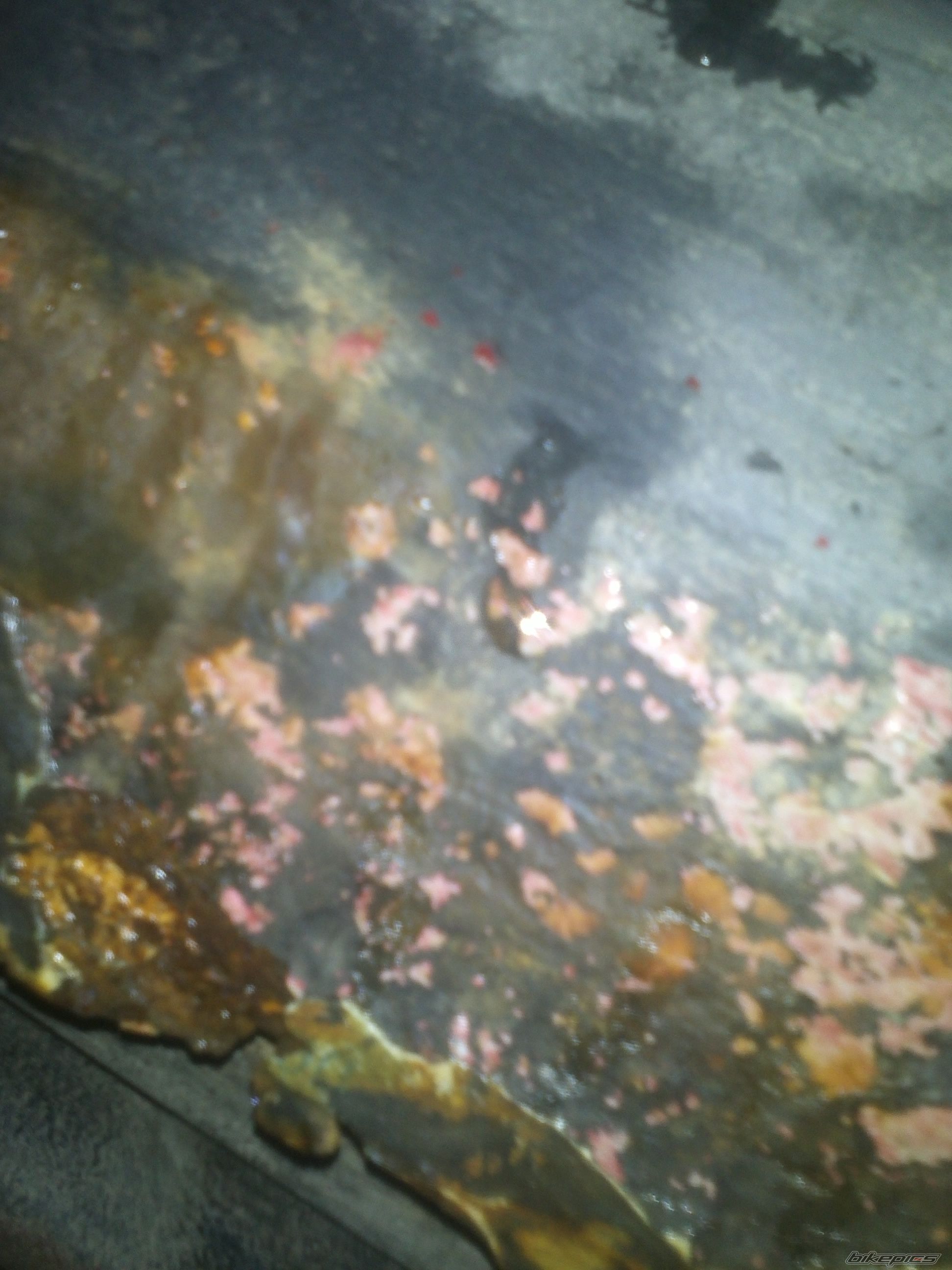 Photo 2630533
