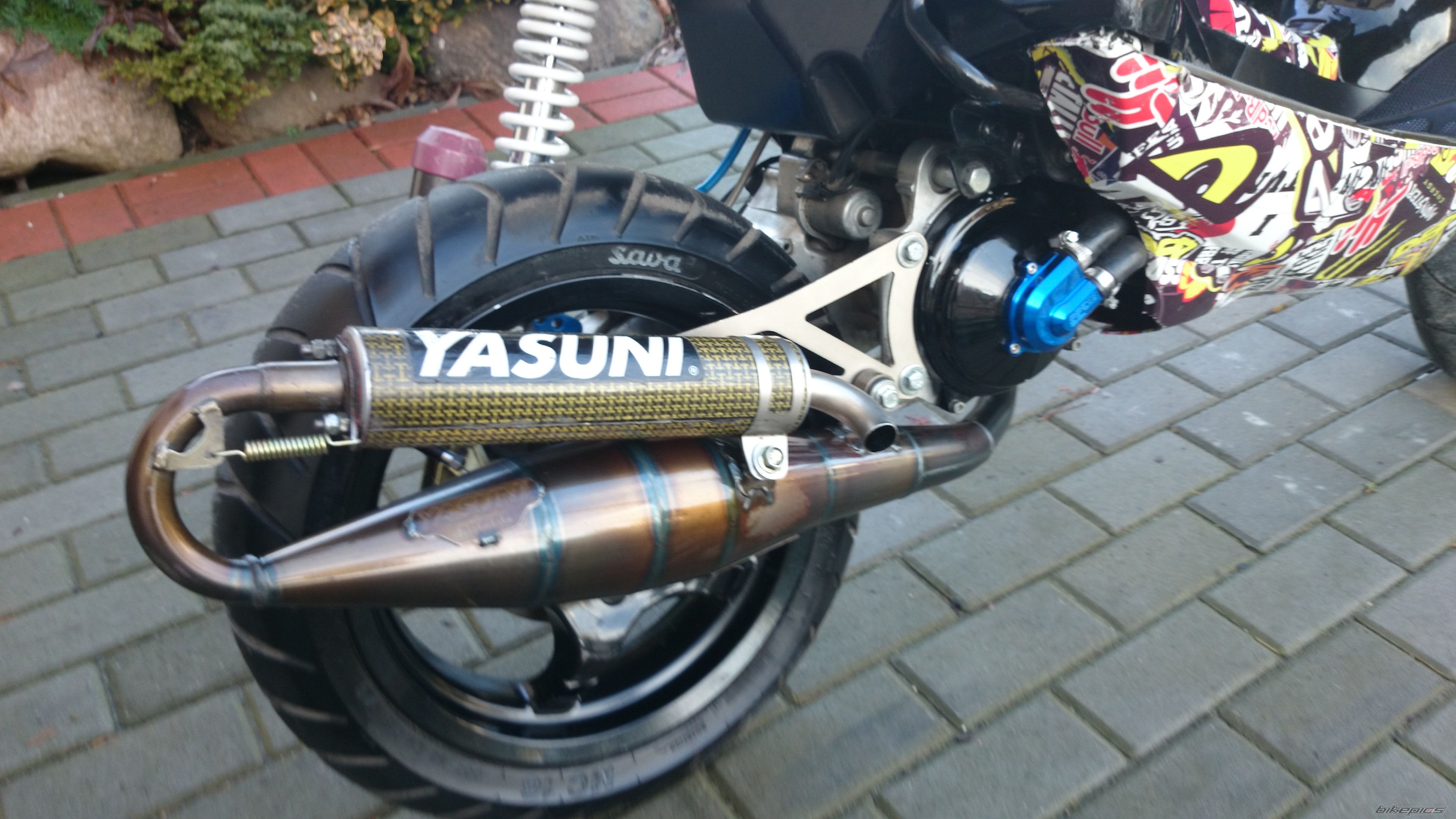 Photo 2630538