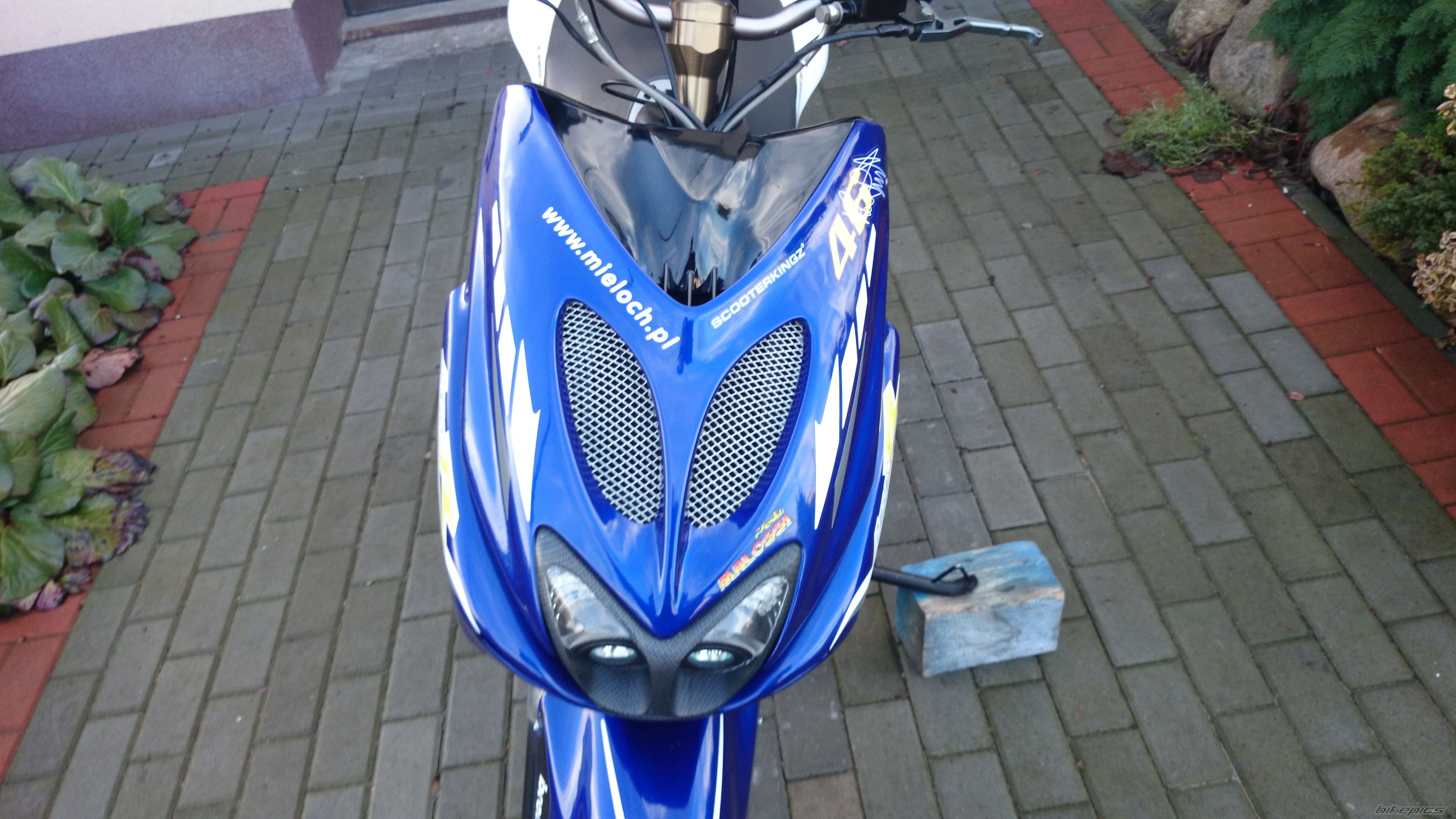 Photo 2630592
