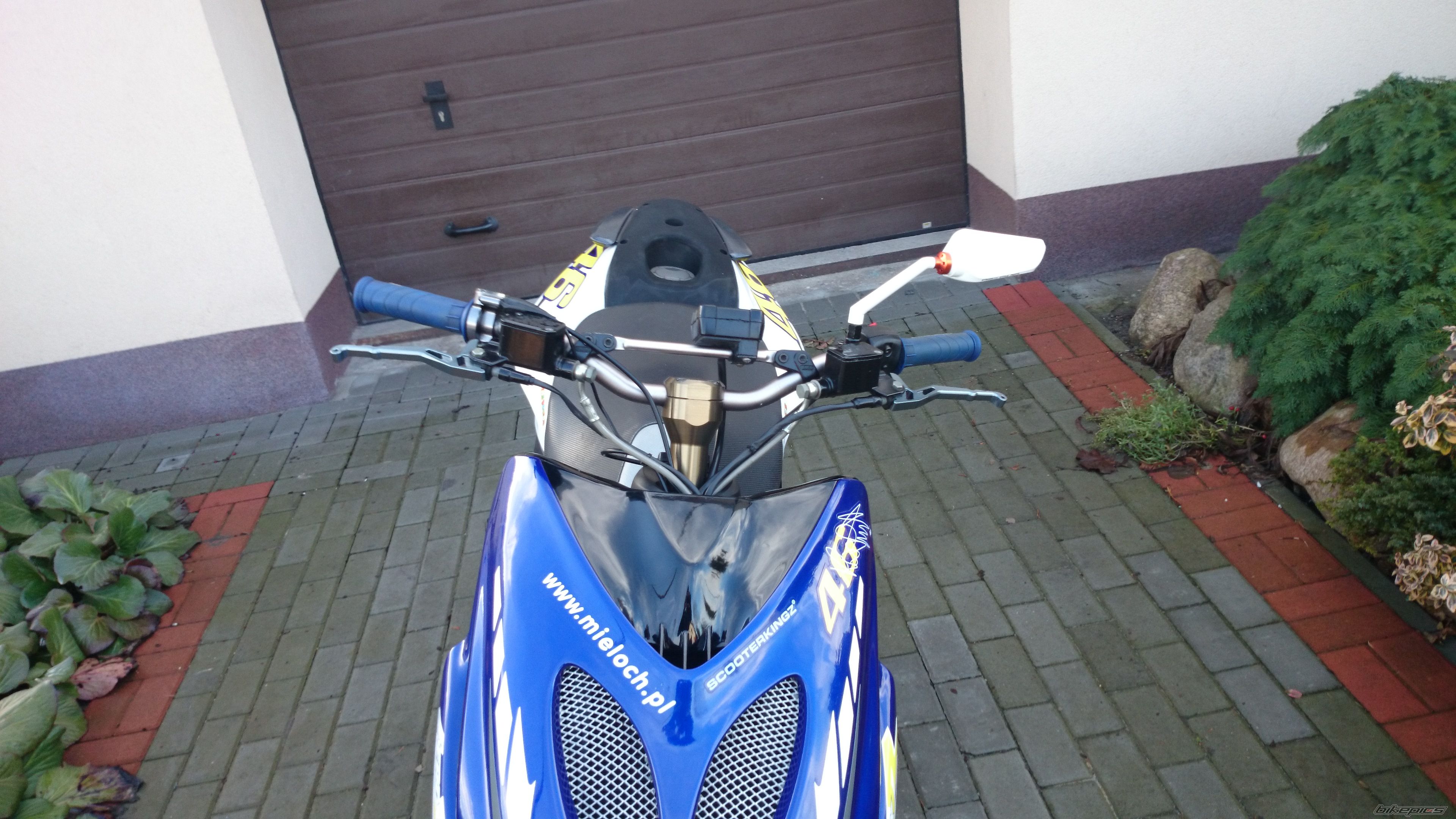 Photo 2630594