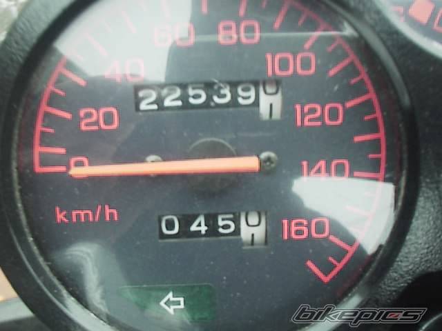 Photo 263066